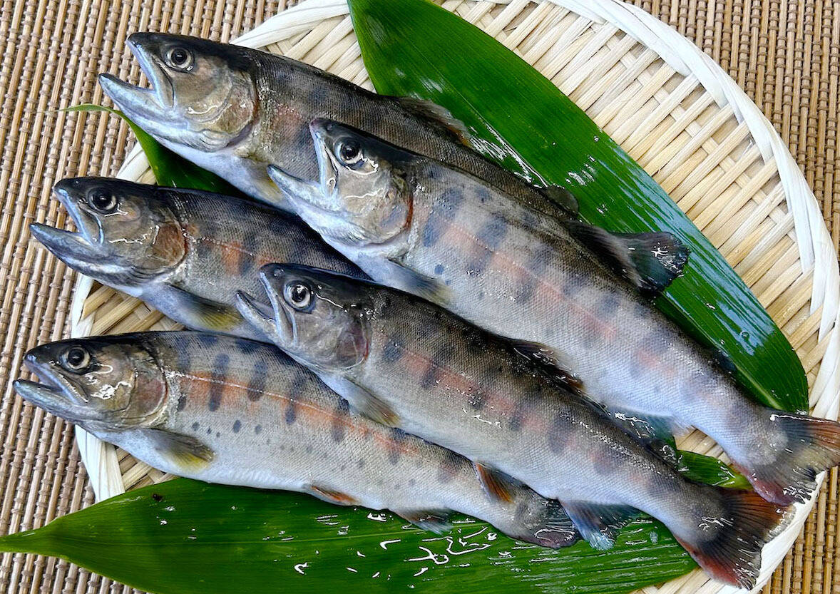 dfede30bc6d7dfed70b7efcadb8f8d