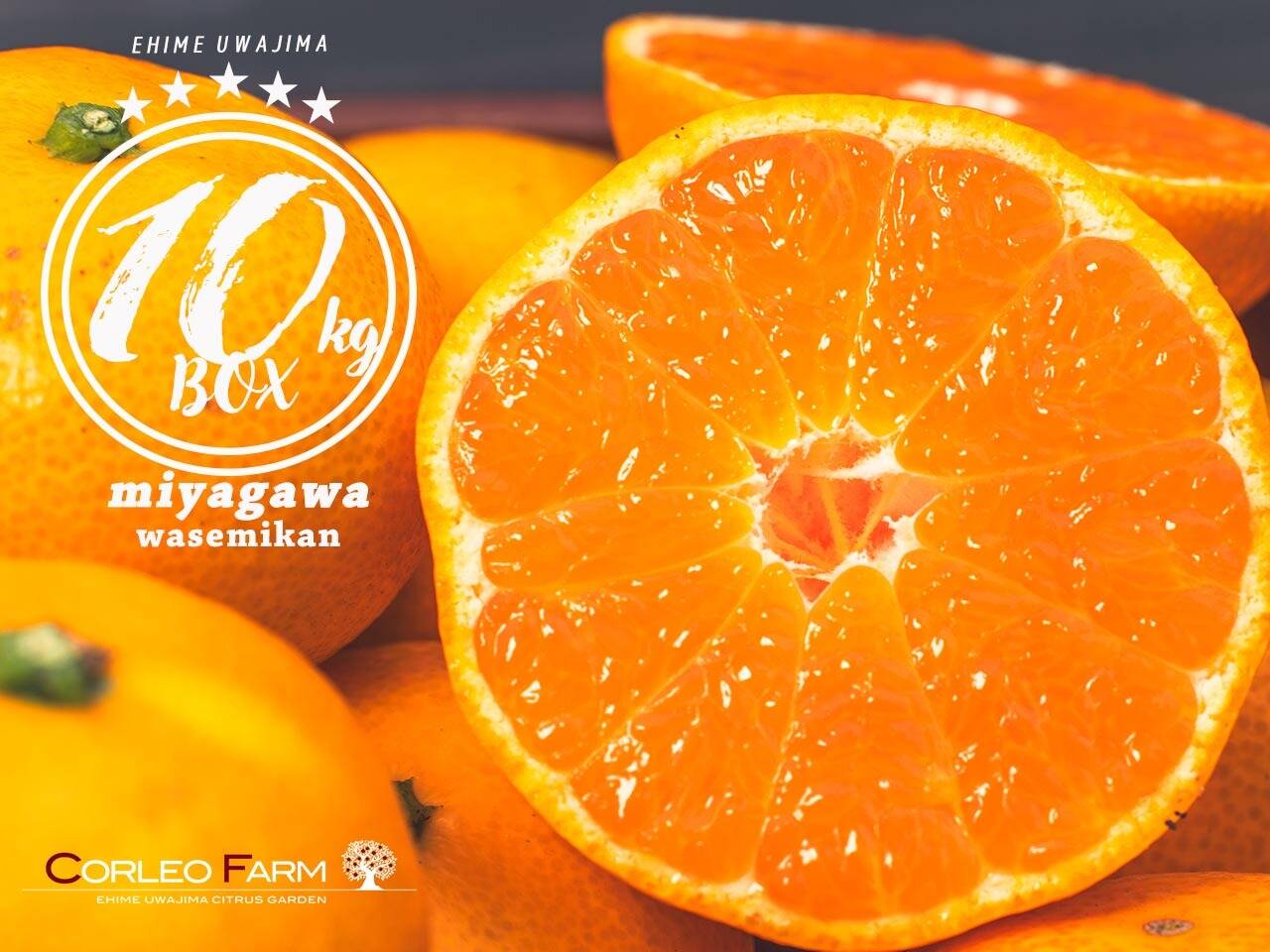 小橘屋商品 EHIME UWAJIMA】とろける食感の絶品早生みかん！Aセレクション（家庭用