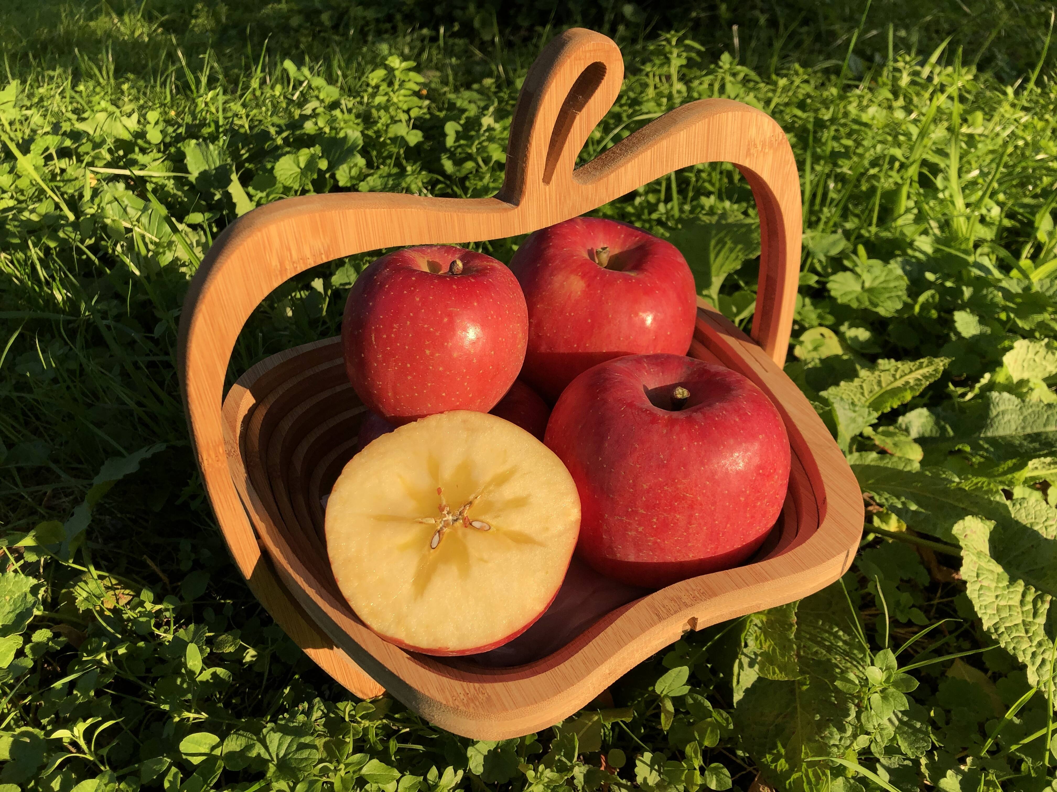 溢れんばかりの果汁！！当農園人気No.1 サンふじ【ご家庭用】10㎏ F