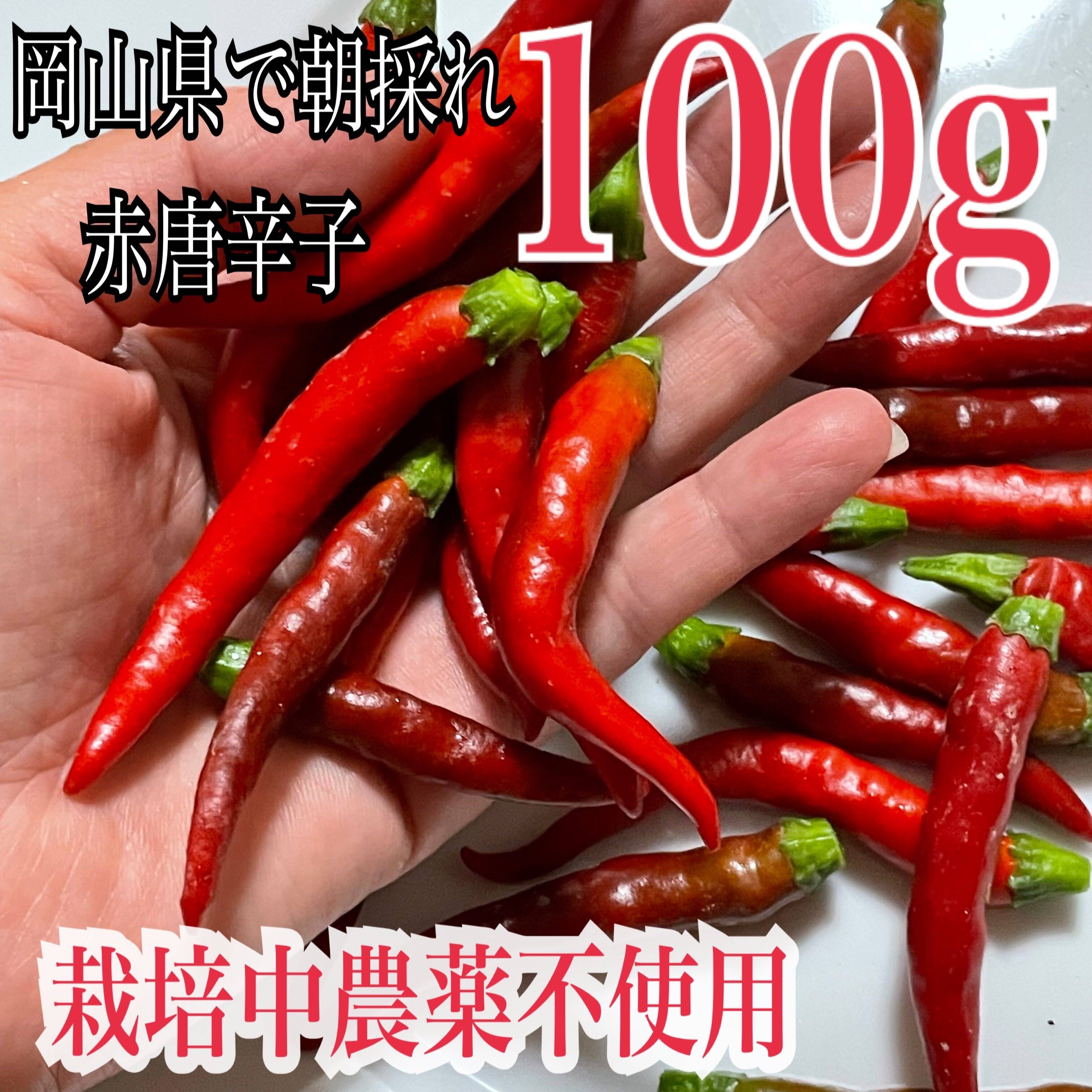 産地直送の岡山県産の赤唐辛子を100g：岡山県産のその他唐辛子｜食べ