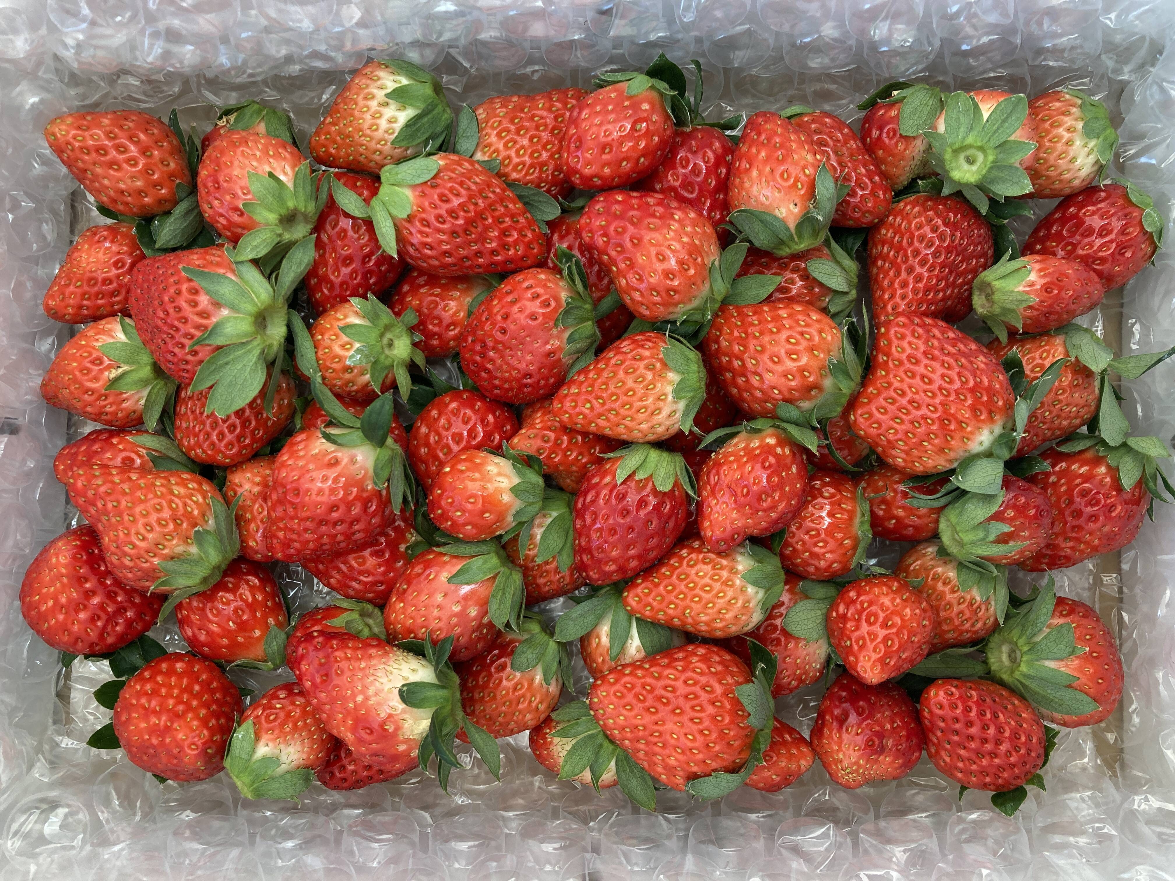 e096019d52907324b58cd23165969e