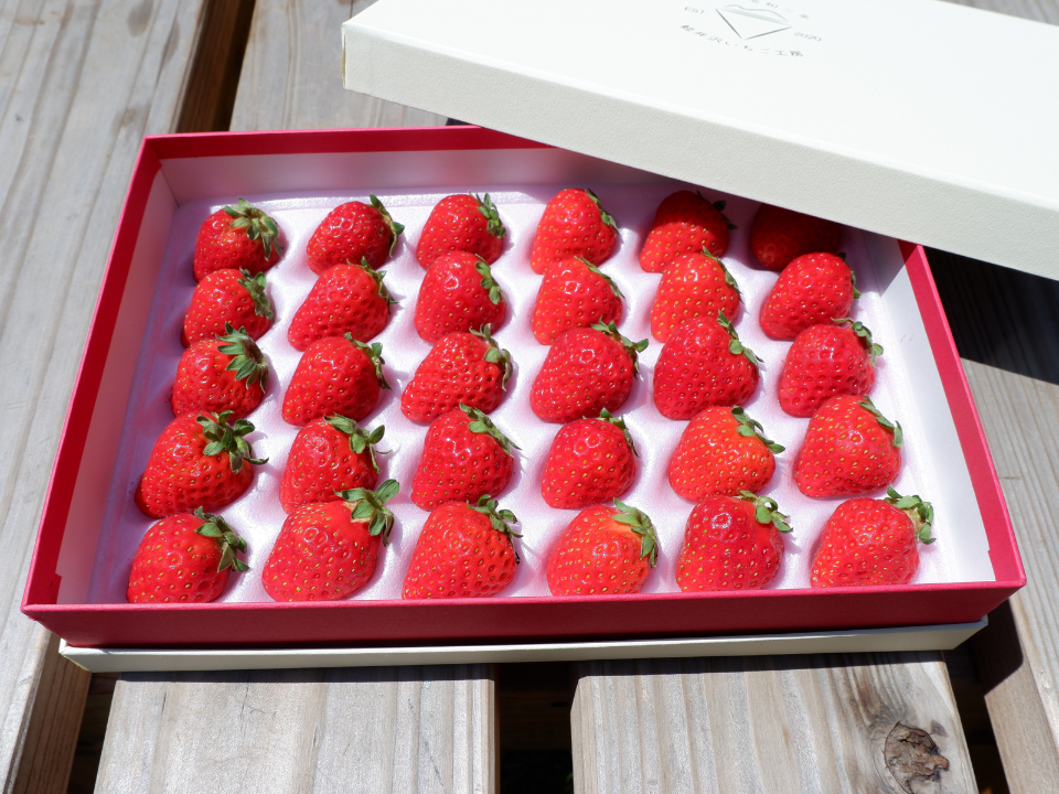 贈答箱入り】Mサイズ・30粒 軽井沢産 夏秋いちご「サマールージュ