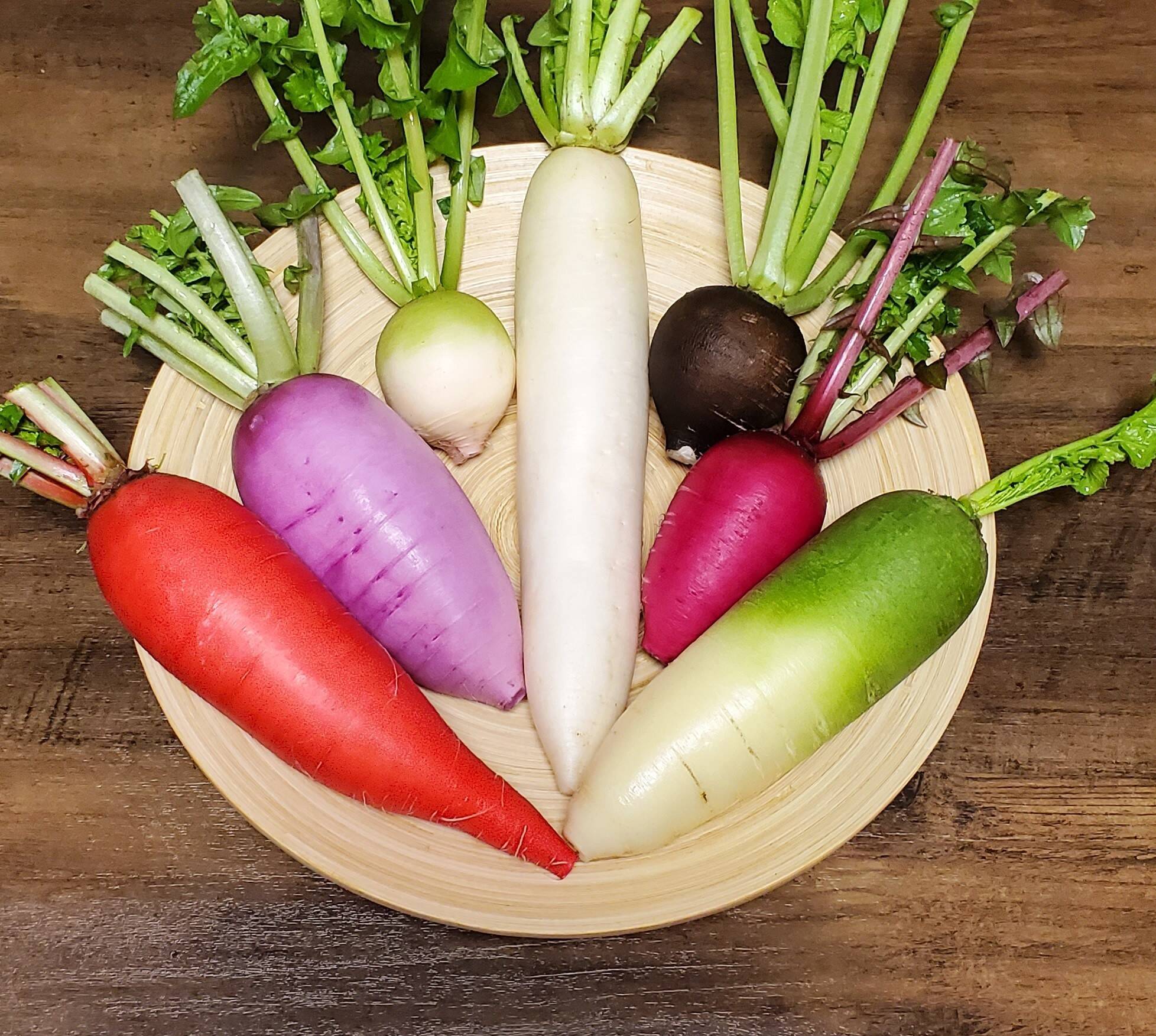 からいね赤 1kg 辛味大根 千葉県産 化学農薬不使用 - 野菜