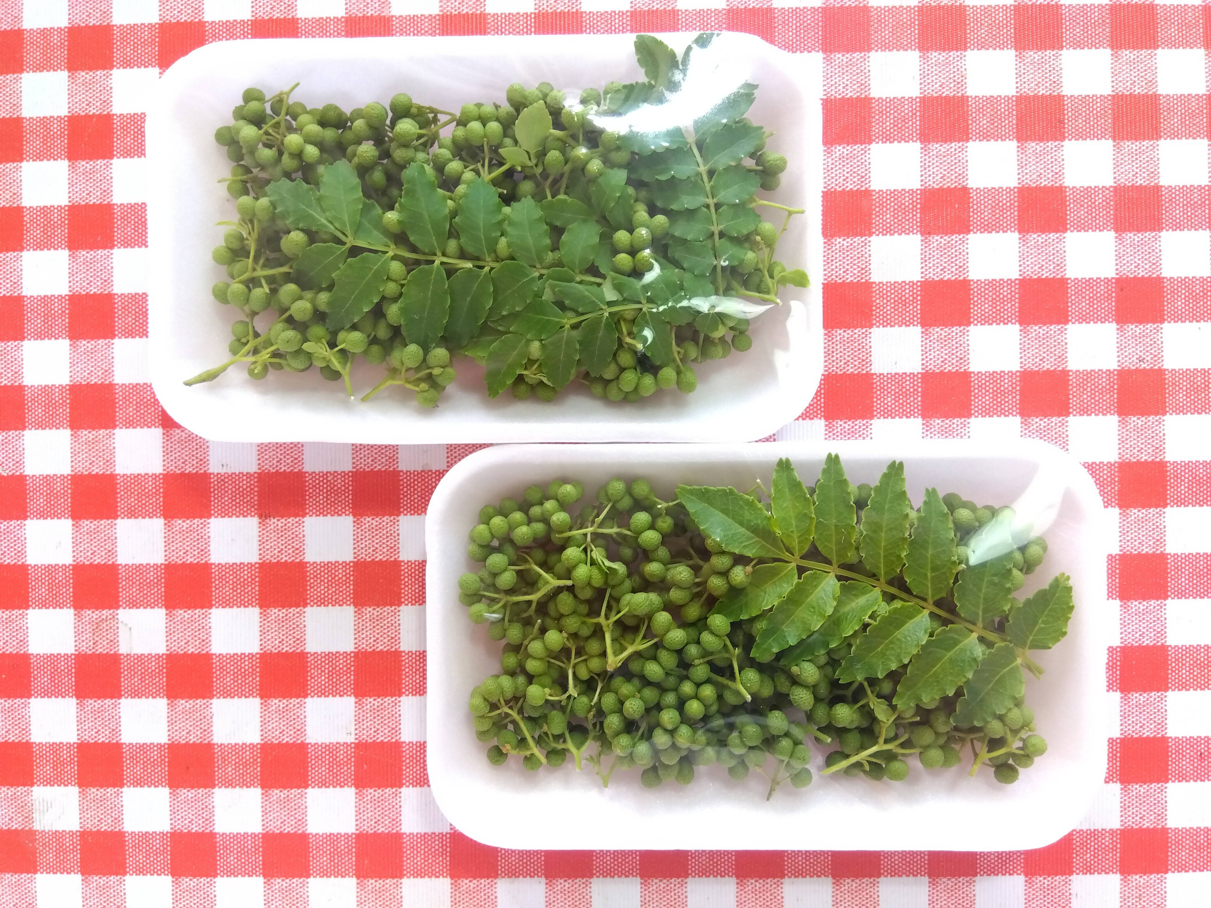 旬の薬味】 山椒の実：徳島県産の実山椒｜食べチョク｜産地直送(産直