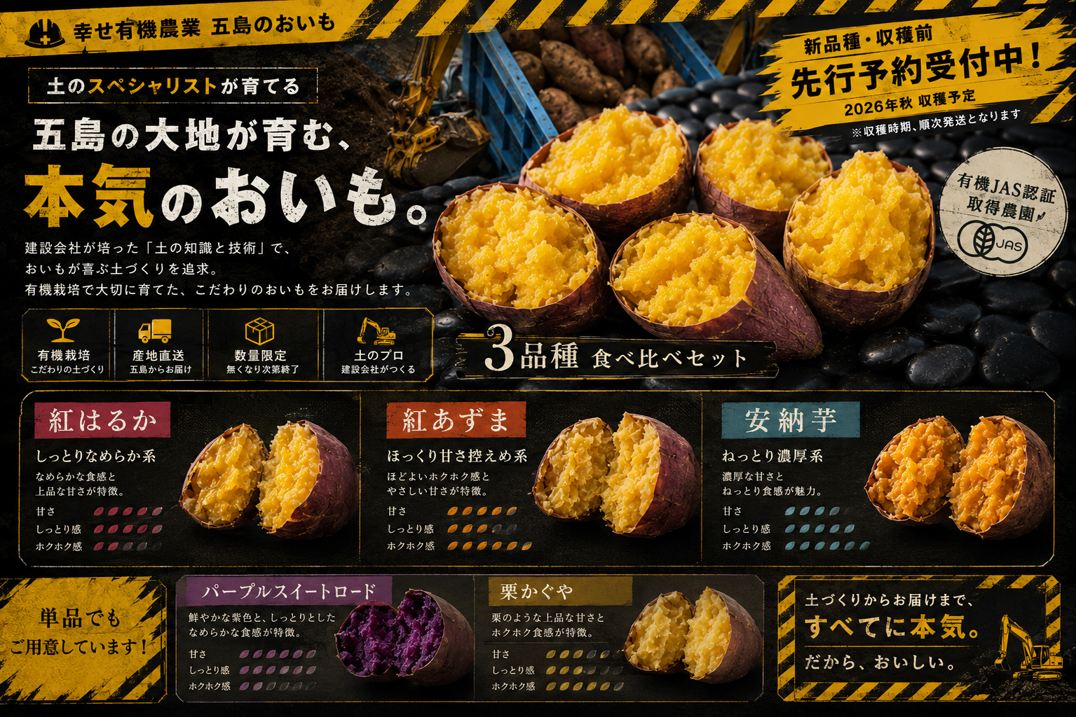 秋の味覚を贅沢に食べ比べ！長崎県五島産有機さつまいも【紅はるか