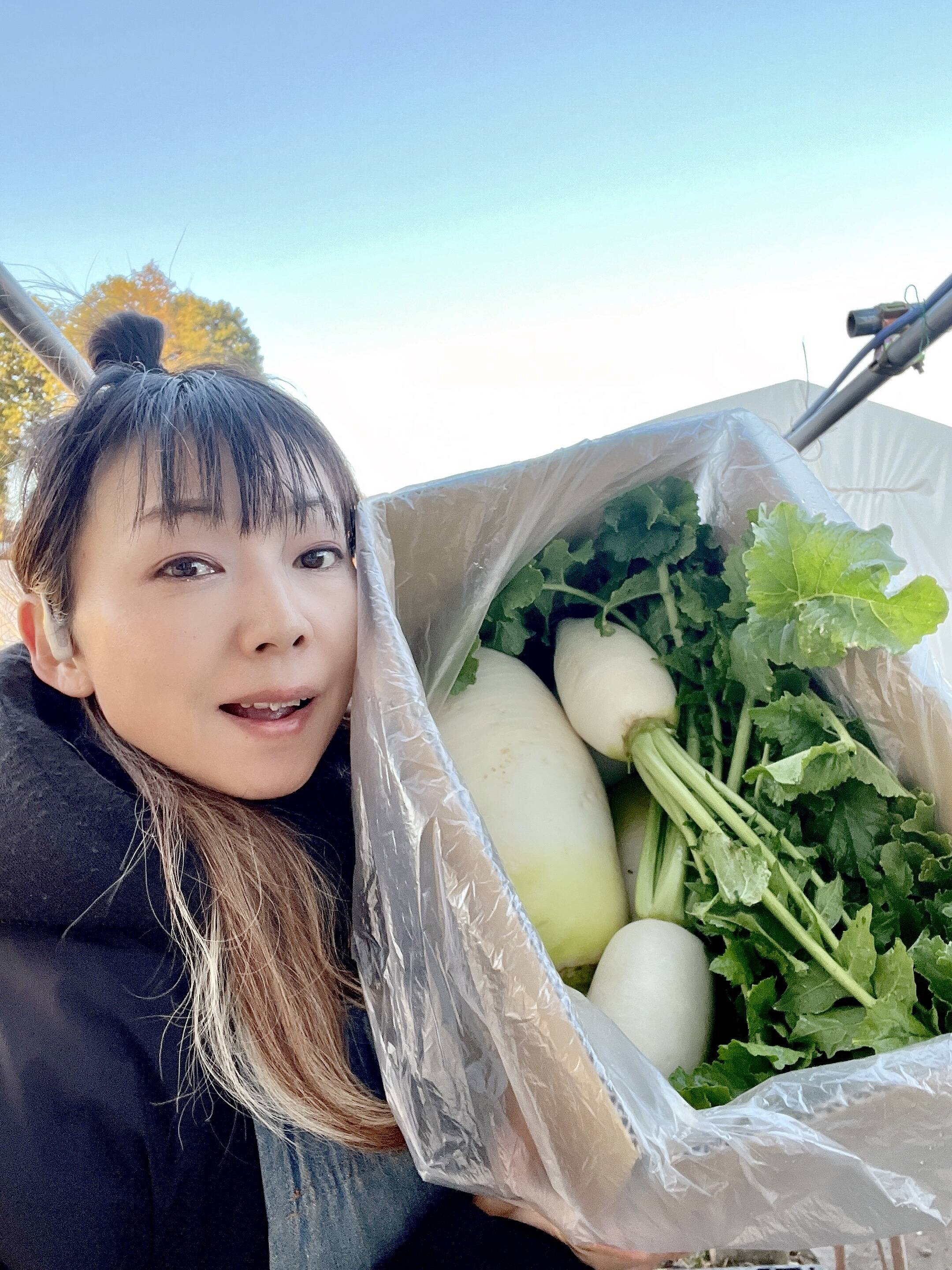 信州産)80サイズに大小詰め詰め！トロトロ大根｢あじまるみ｣：長野県産