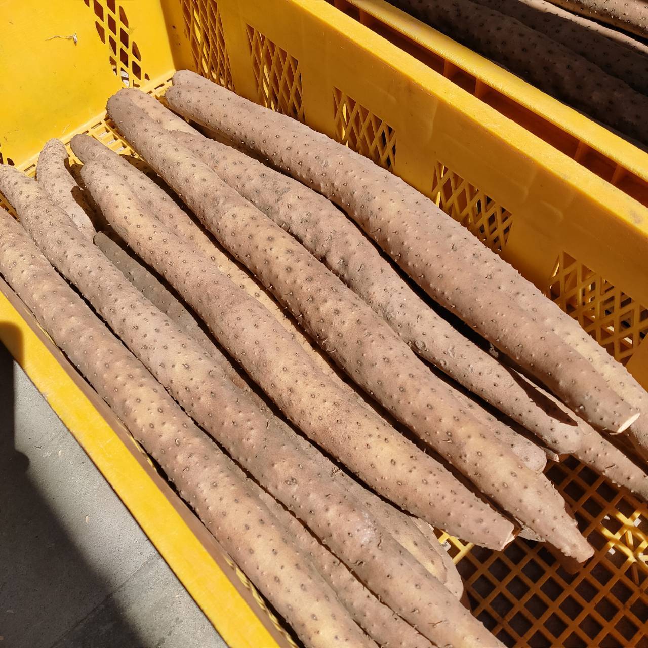 e15f52320e48052f73a20db1094bf2