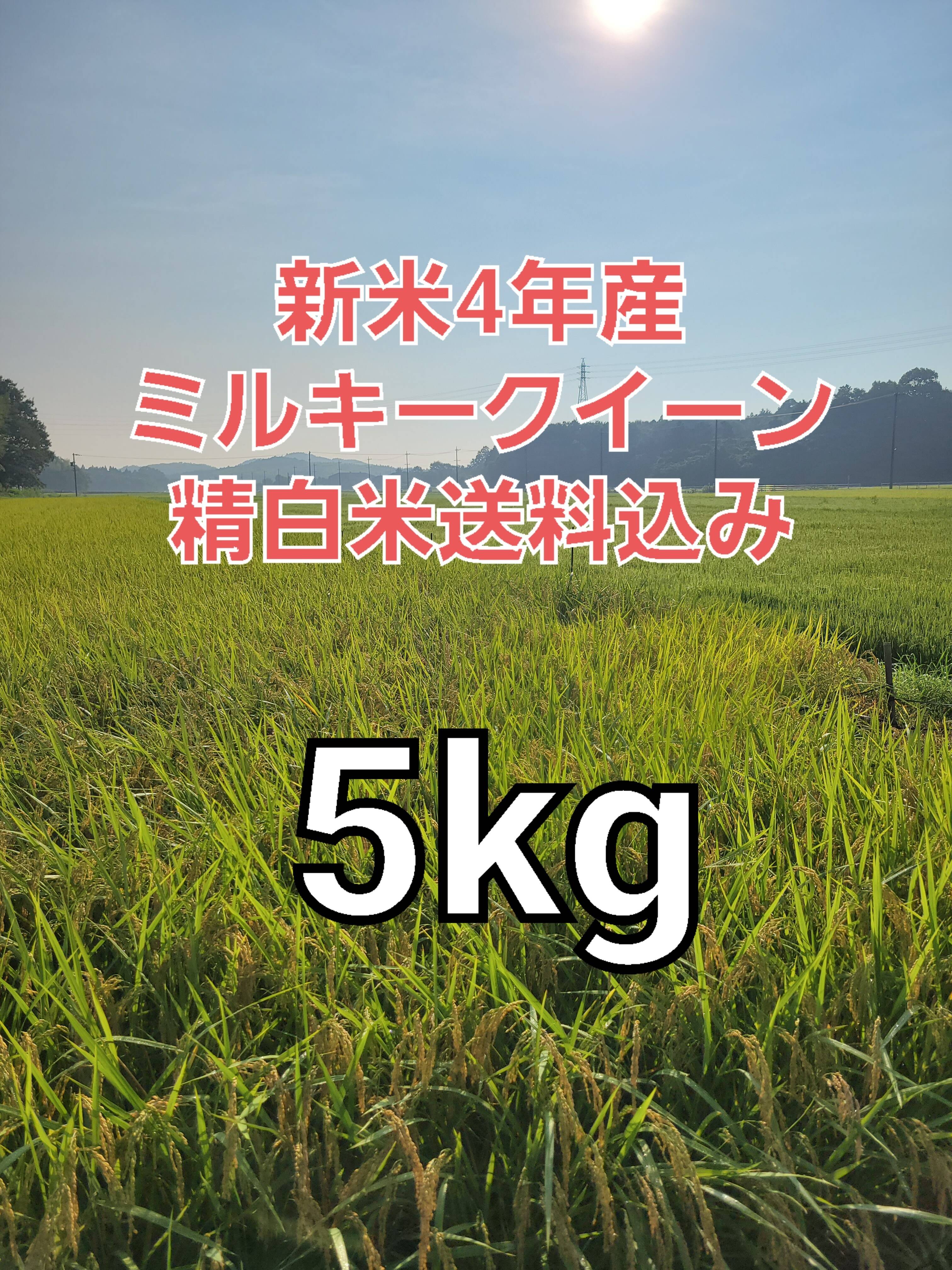 ランキングTOP5 まんまる様ご専用 自然栽培R4年度米 愛媛県産