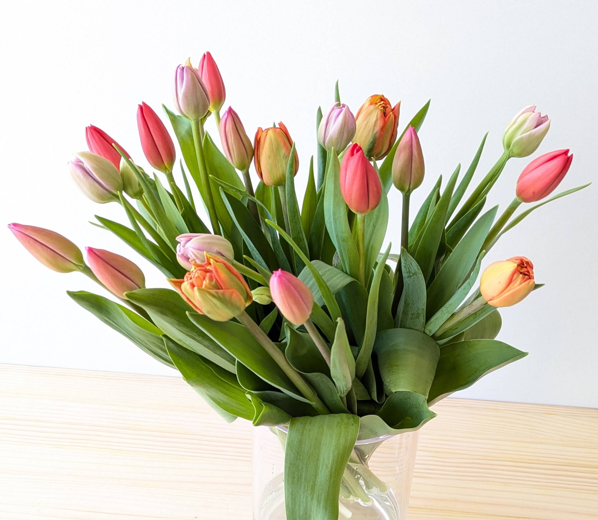 e1c2c644d493b0de8cf0b41ac6bb5a