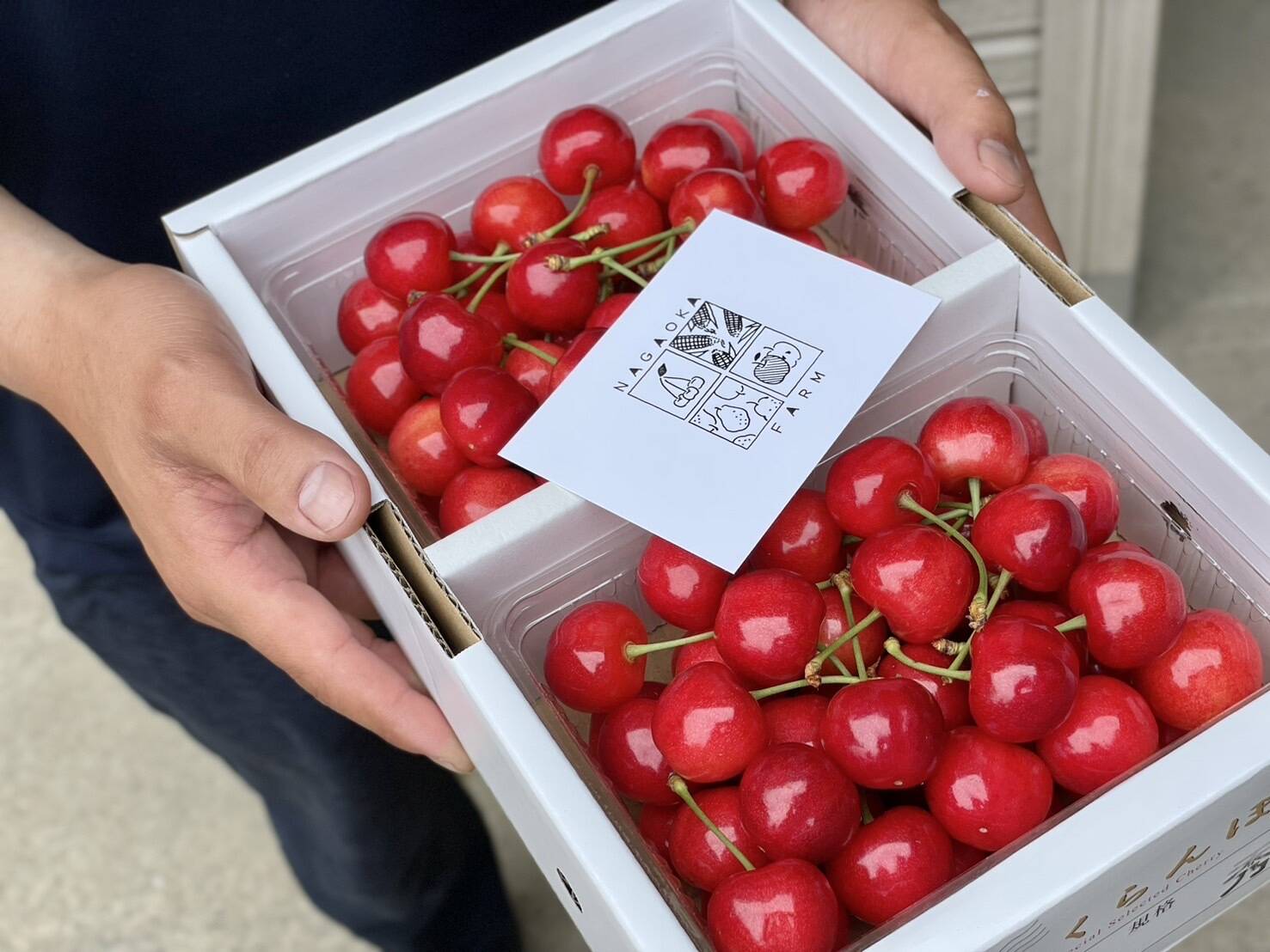 e206dbaa59c1985c9f7dc84a11ea97