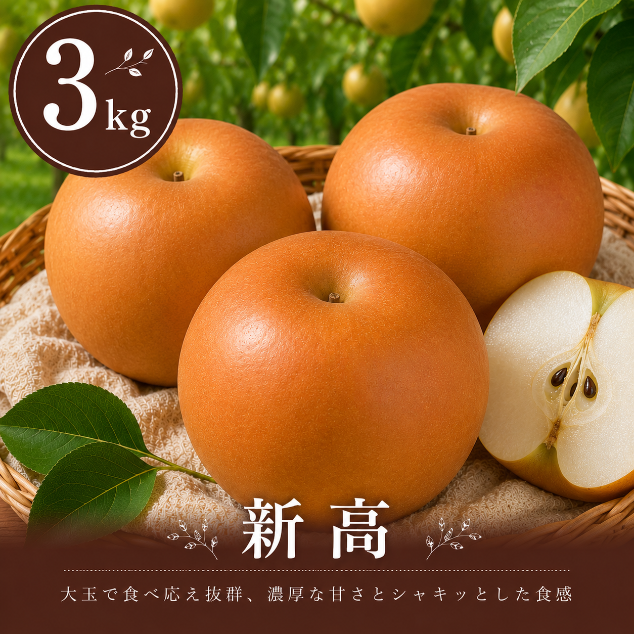 梨：新高】3kg 大玉(4〜7玉)｜千葉の梨農家から朝採れ直送【予約販売