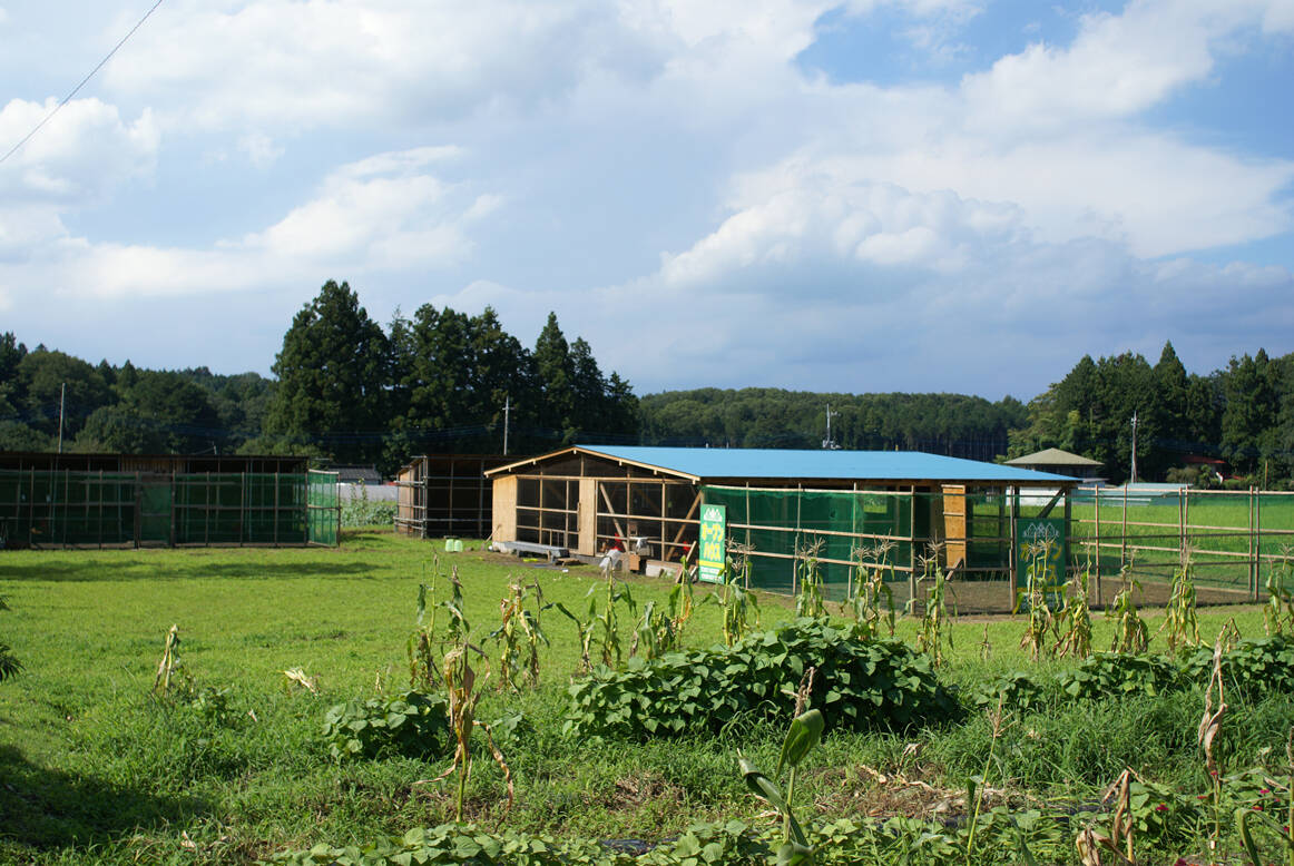 🍴 Eat choku ｜ NANTAI Farm, Nikko City, Tochigi Prefecture