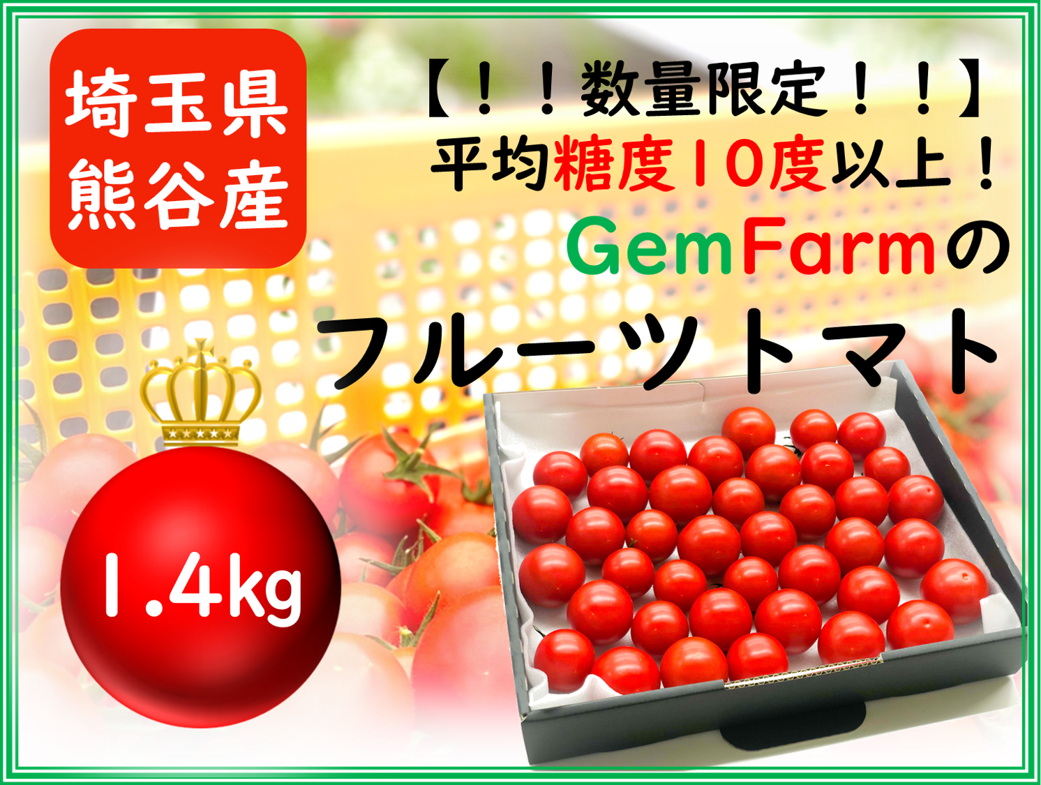 【数量限定】平均糖度10度以上！珠玉のフルーツトマト（1.4kg）