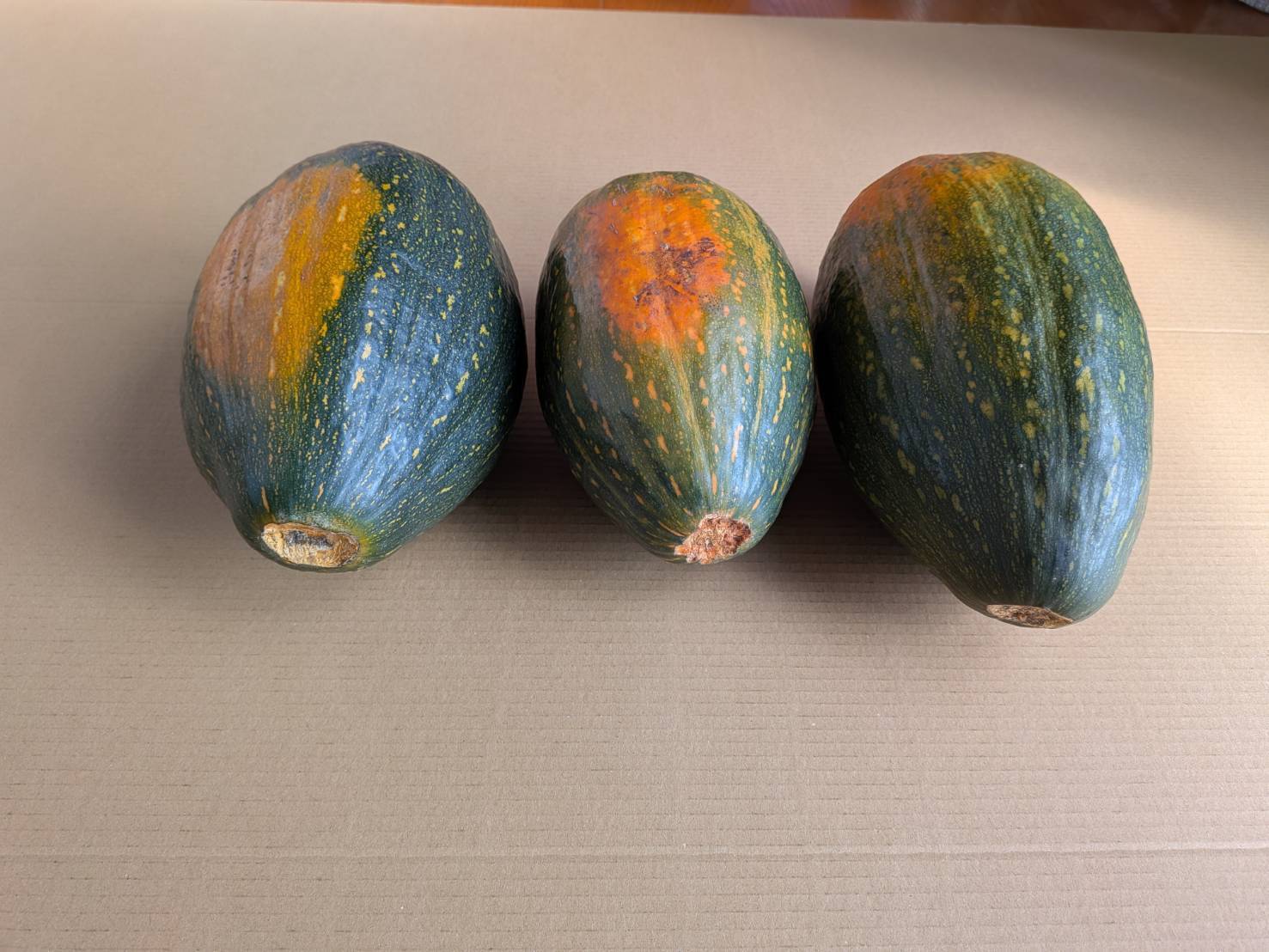 サラダカボチャ】訳あり 有機JAS認証取得 万次郎かぼちゃ生まるごと