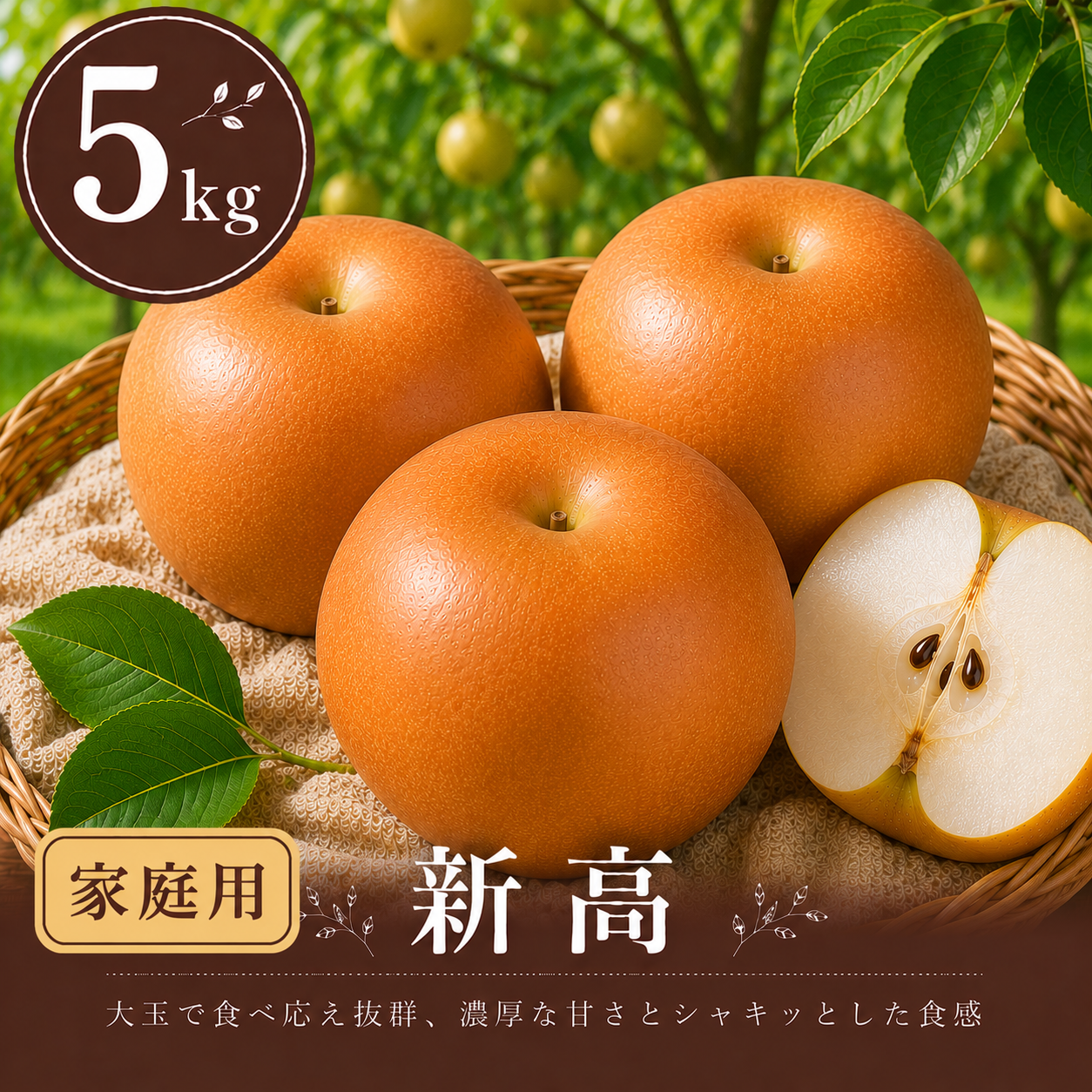 梨：新高】家庭用 5kg 大玉(5〜12玉)｜千葉の梨農家から朝採れ直送