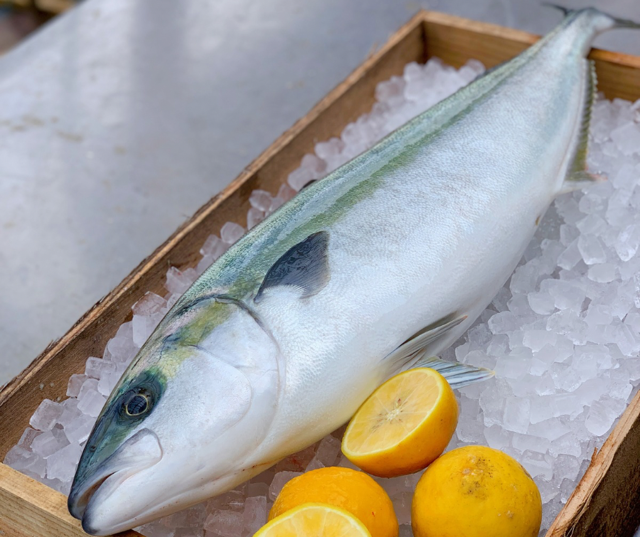 e2b3da47d311b511a3cd1b571a24ce