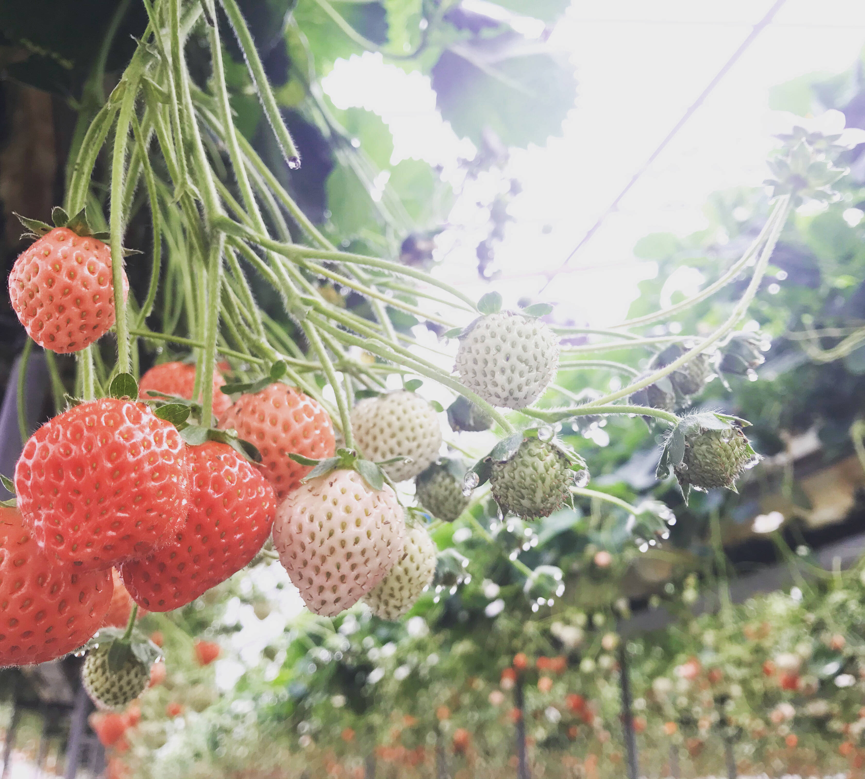 e2f905f95cd360480b031a78d1f10f