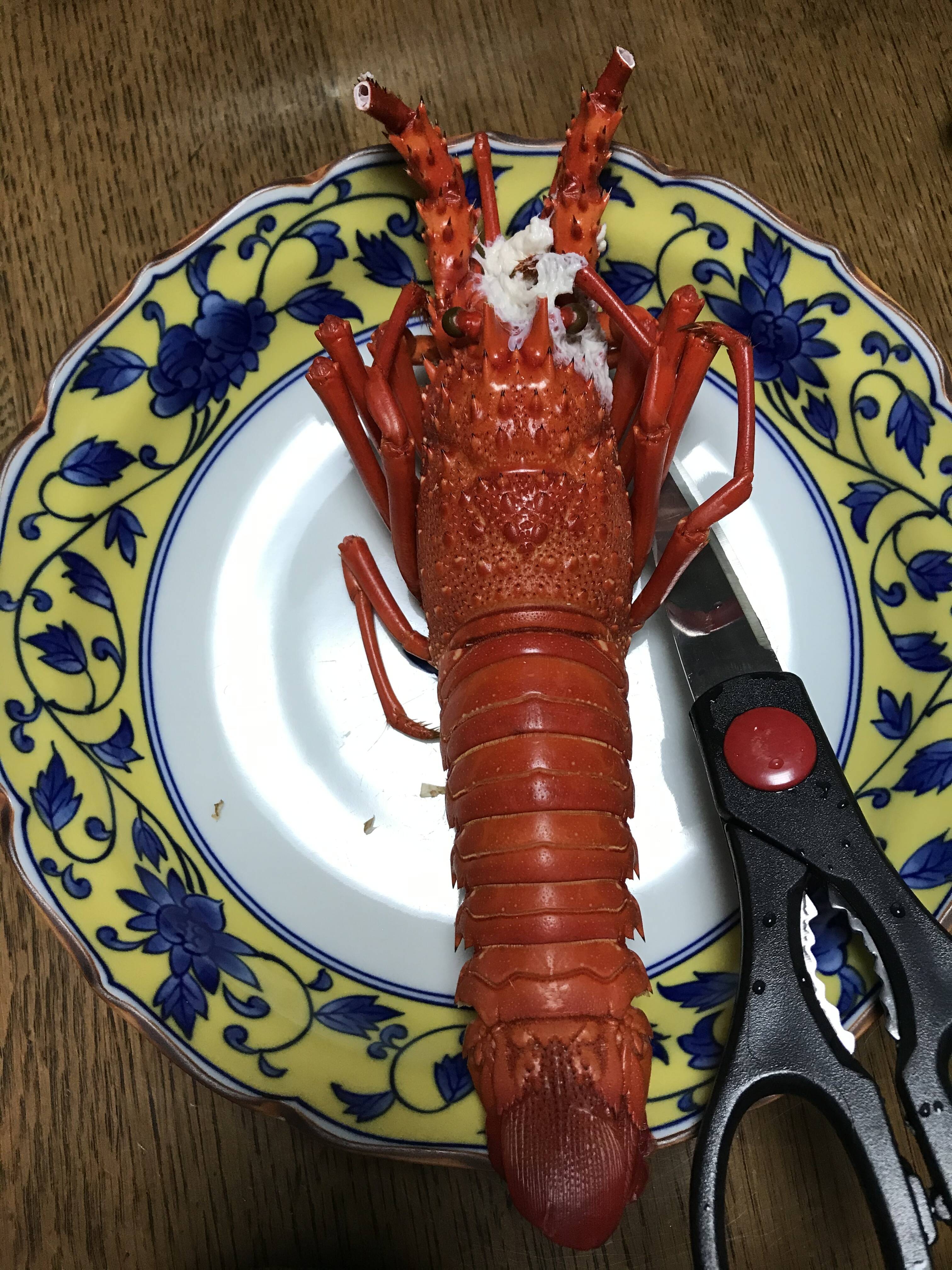 ヨッシーさんが藤井美帆さんの捕れたてピチピチ 漁師直送の新鮮イセエビ1kg 3 6尾 の 作ったよ を投稿しました 食べチョク