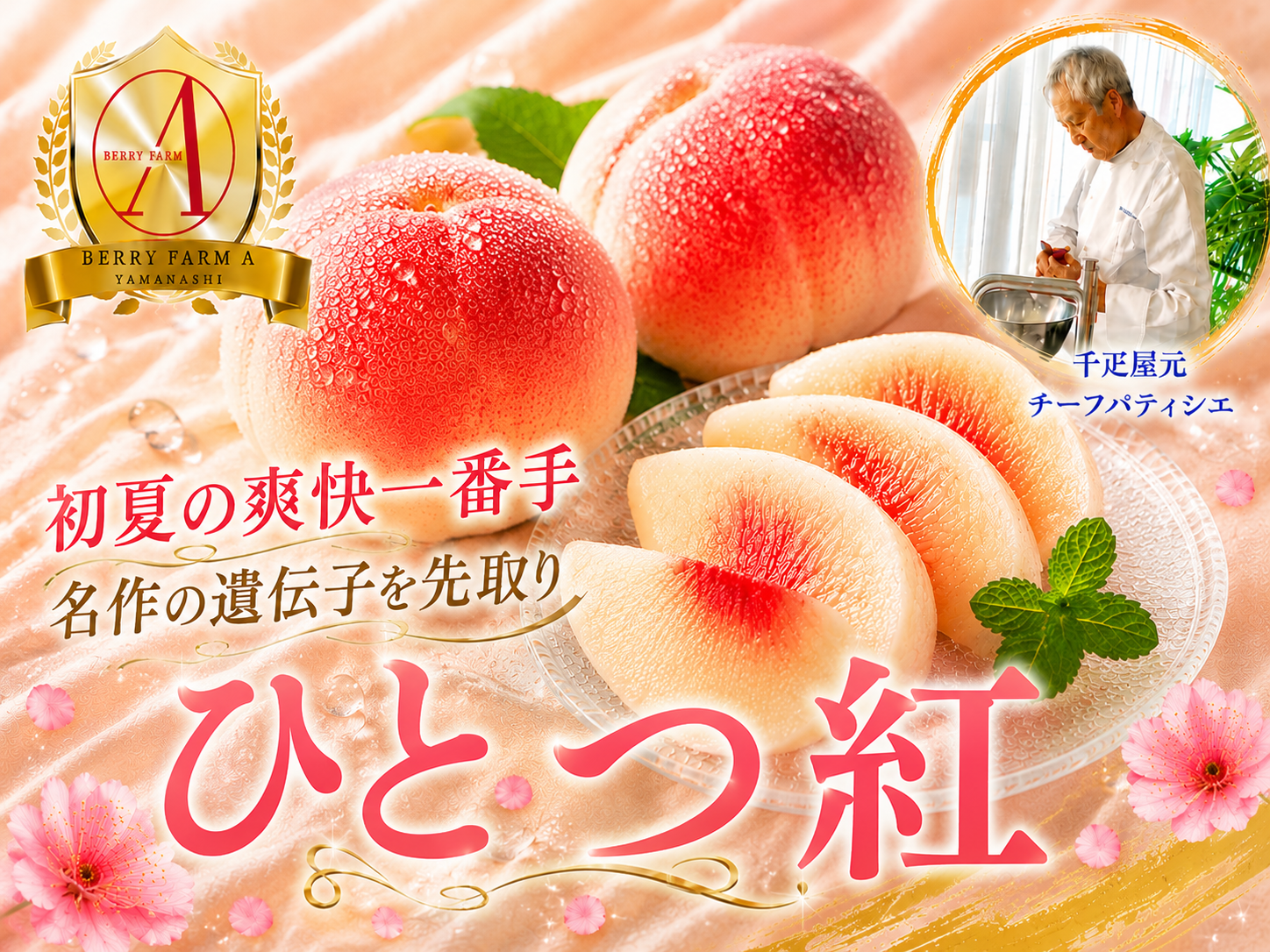 初夏限定一番手の極早生桃】フルーツの楽園南アルプスから品種指定 