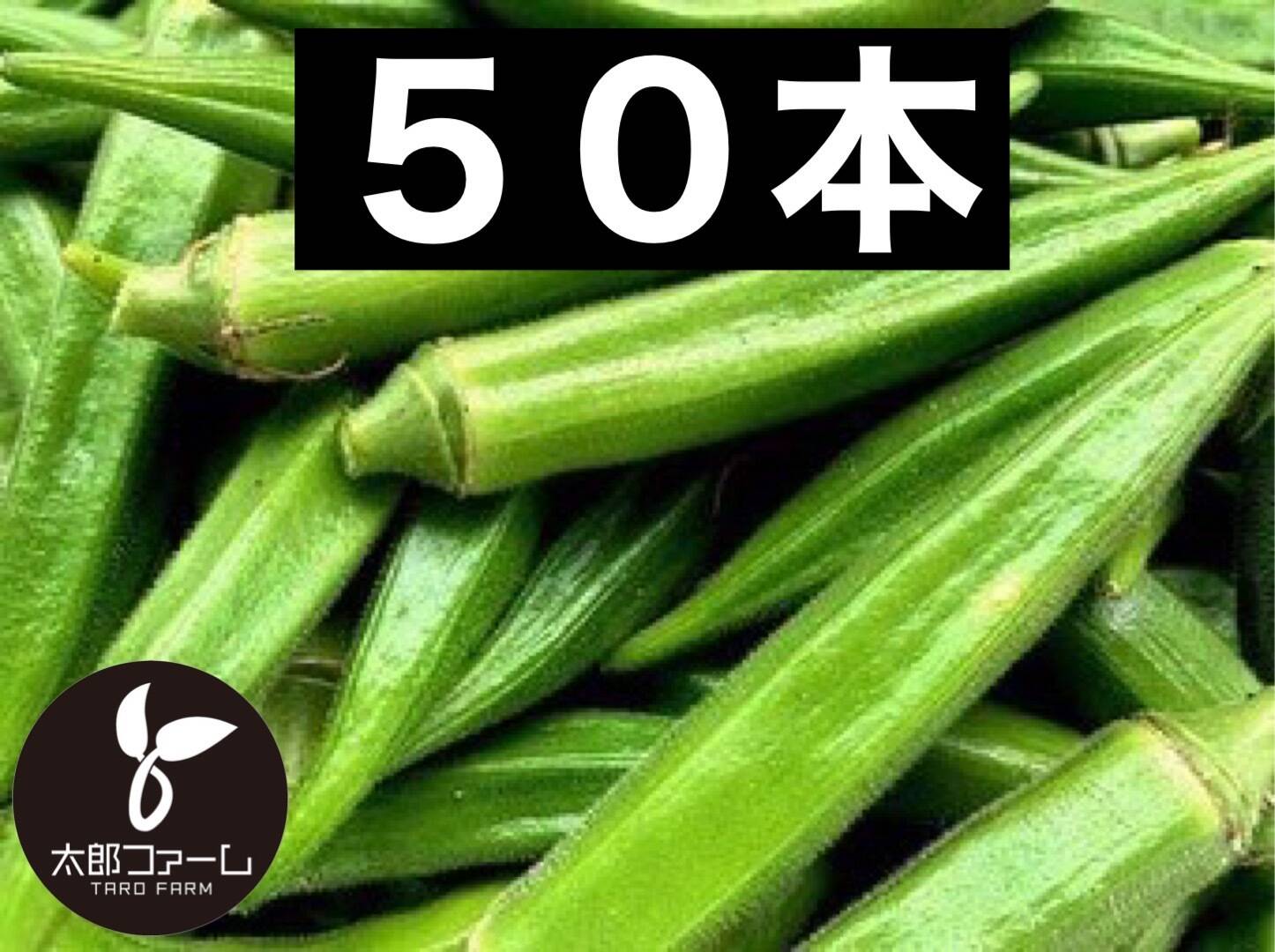 オクラ50本 ショップにて販売中！