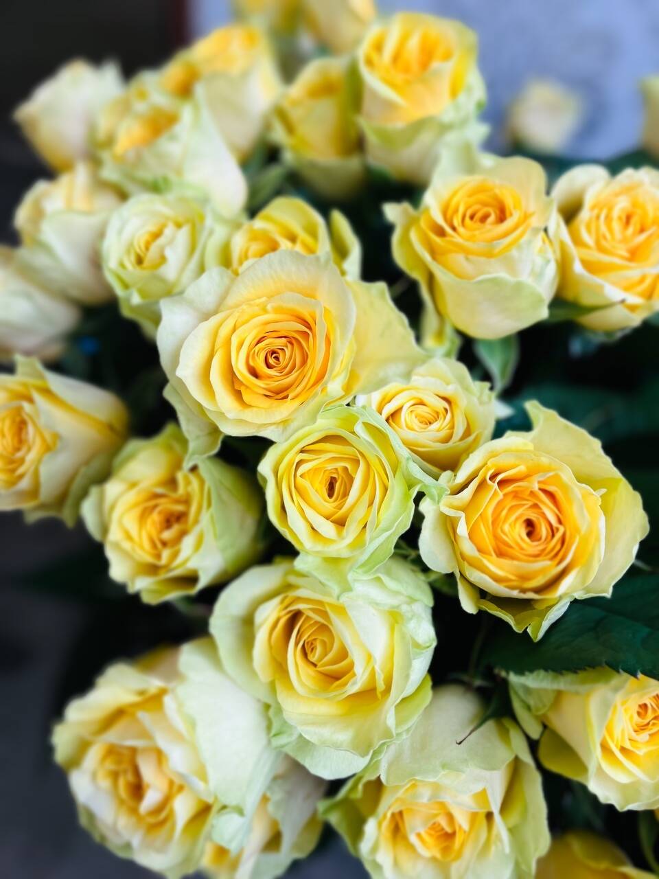 ️プロフ必読️ローズガーデン️様 専用 an@プロフ必読様専用オーダー