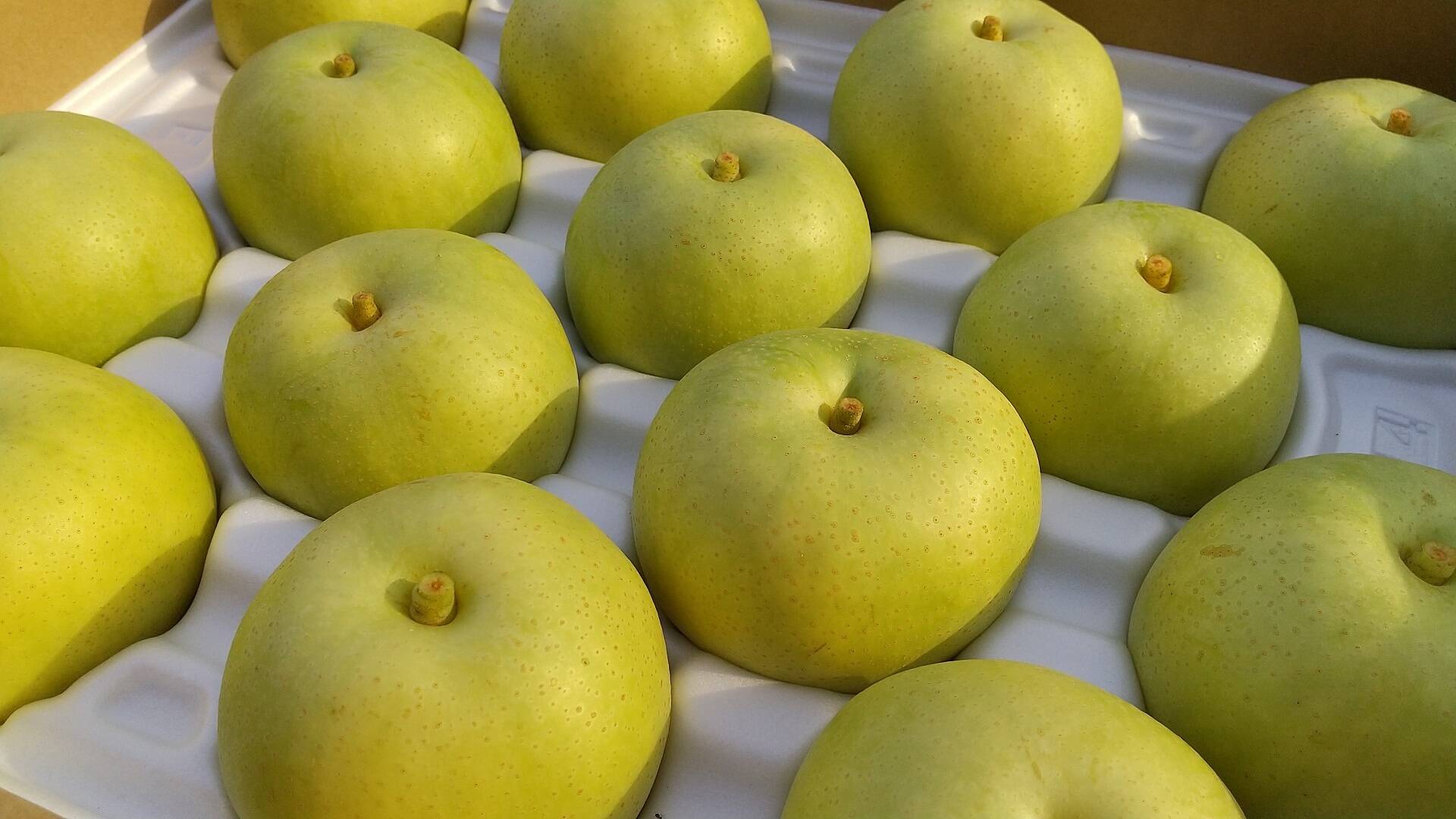 e3cd847746c3902f9196ac448071e5