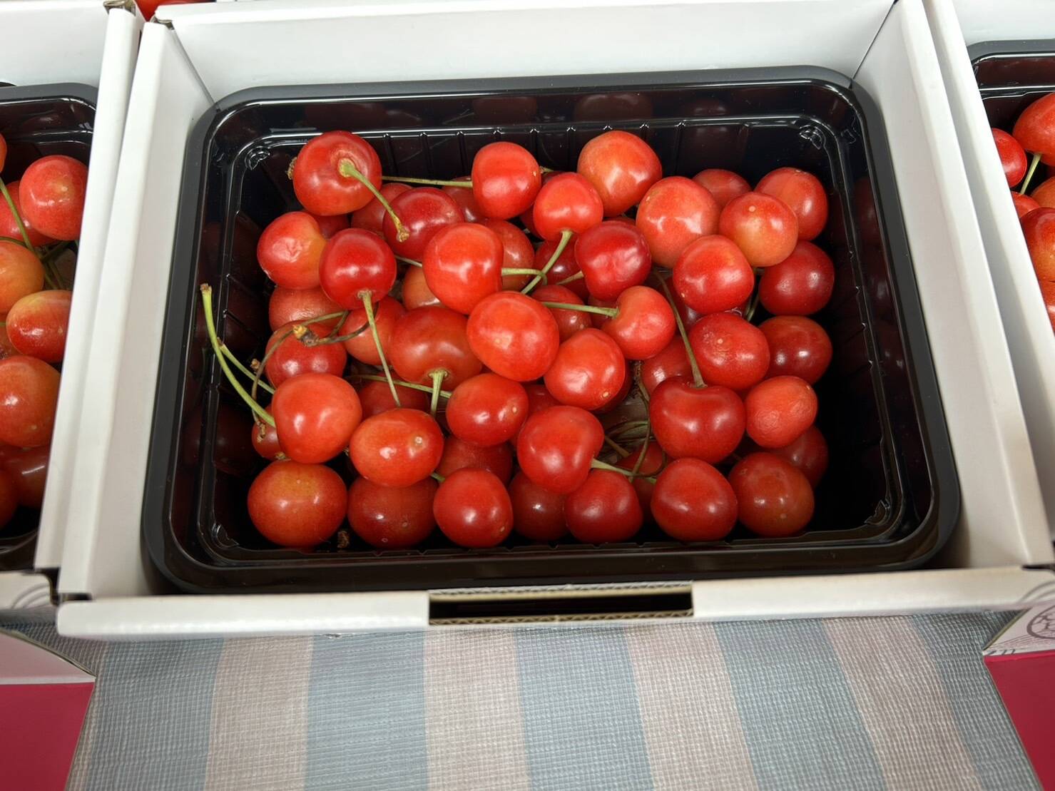 まるせい果樹園のさくらんぼ 『佐藤錦』 250g×1P バラ詰め ss3：福島