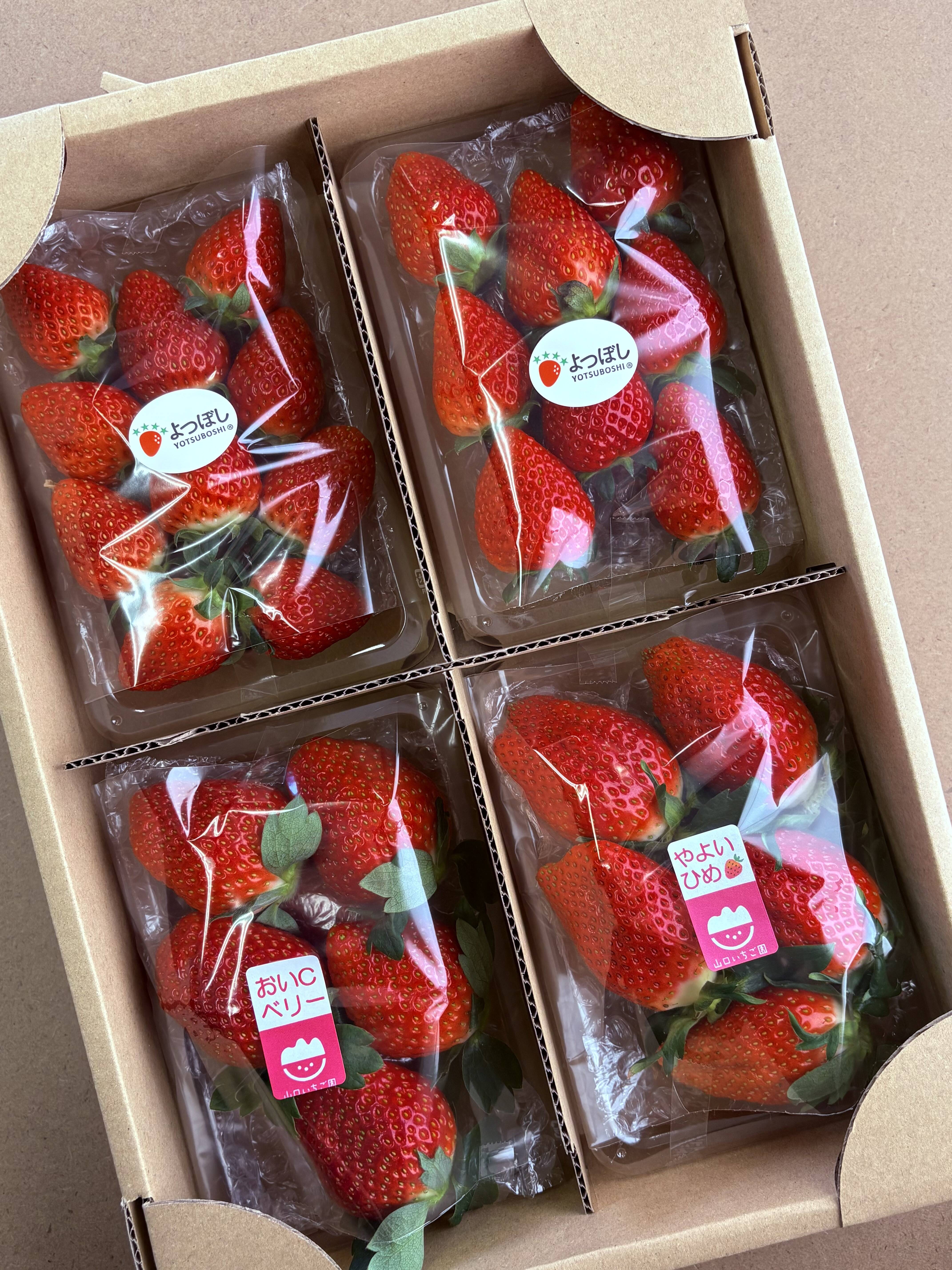 おまかせ食べ比べ】いちご たっぷり2kg！やよいひめ•よつぼし•おいC