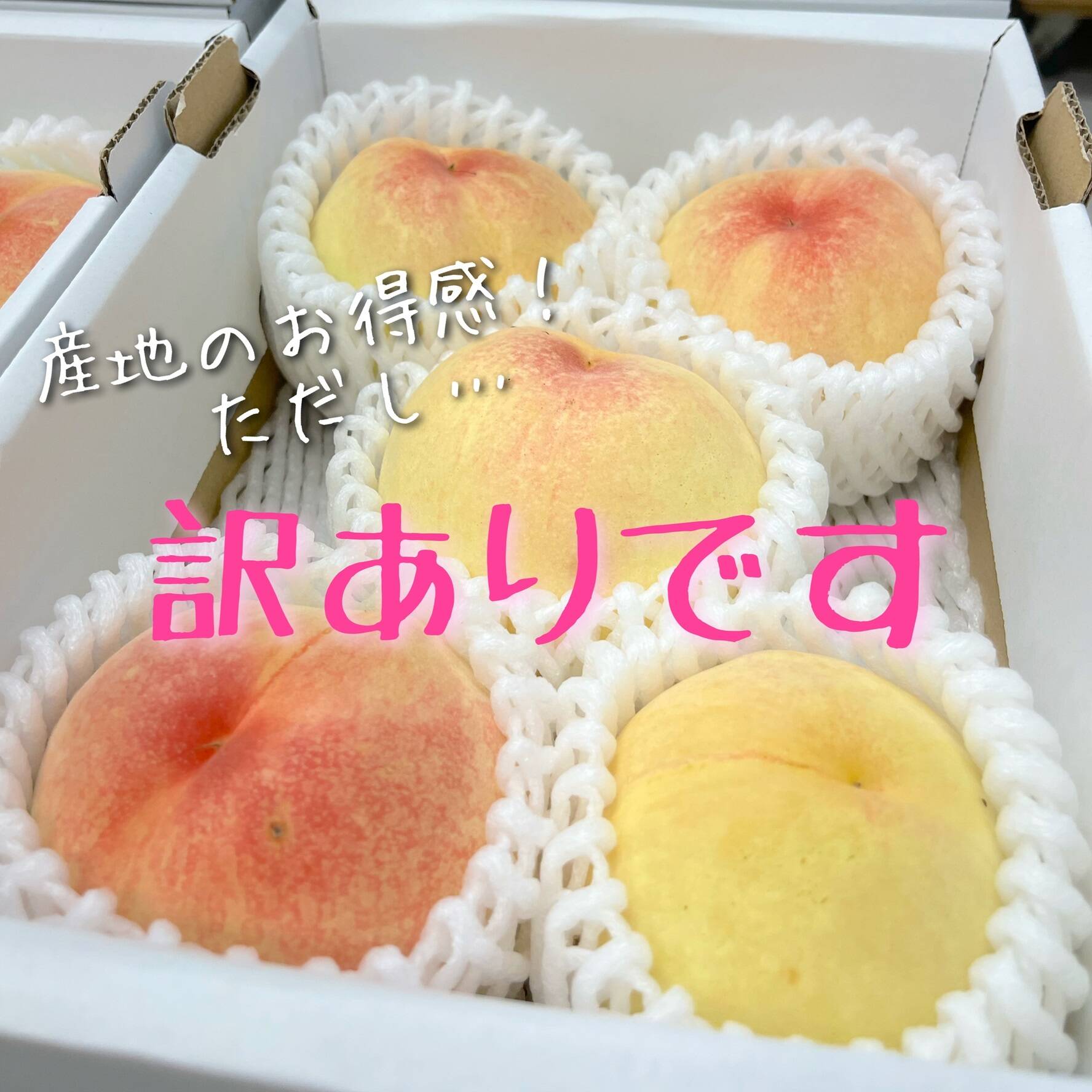 訳あり品】岡山の桃 小箱4～6玉：岡山県産のその他桃｜食べ