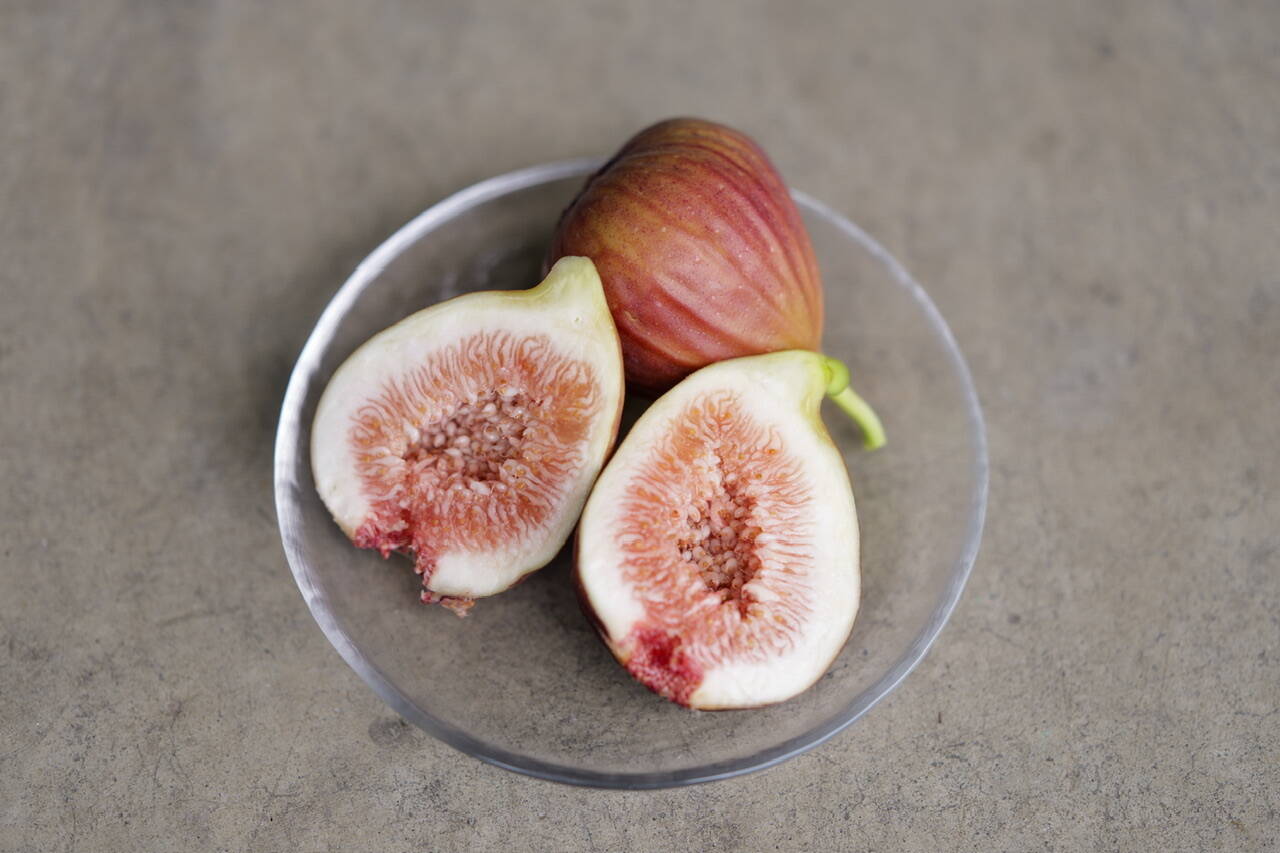 e4c913a99d6f6ba85fa2a1f69b71fc