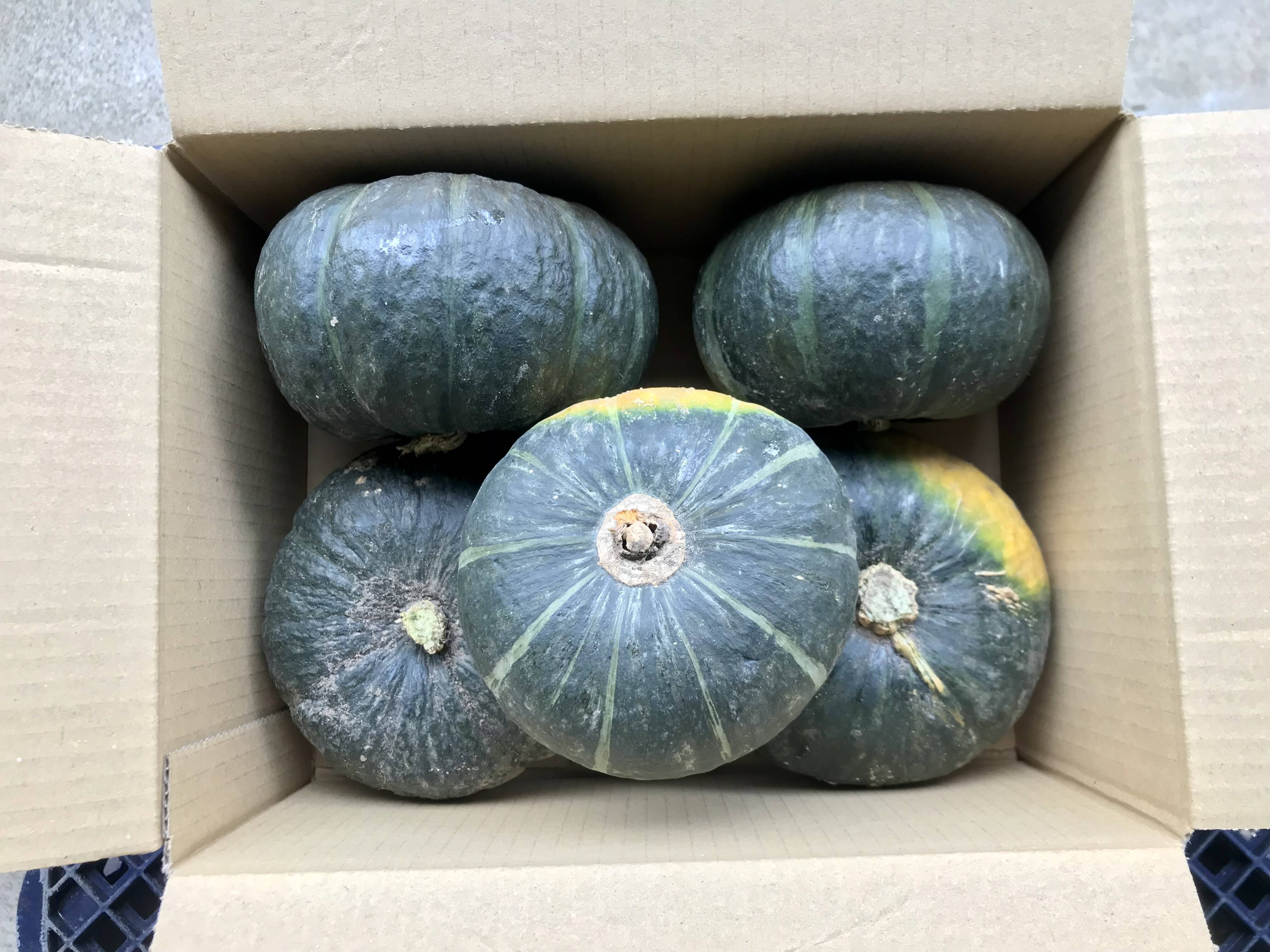 726円 Sale 58 Off 送料無料 坊ちゃん かぼちゃ 4玉入 とれたて