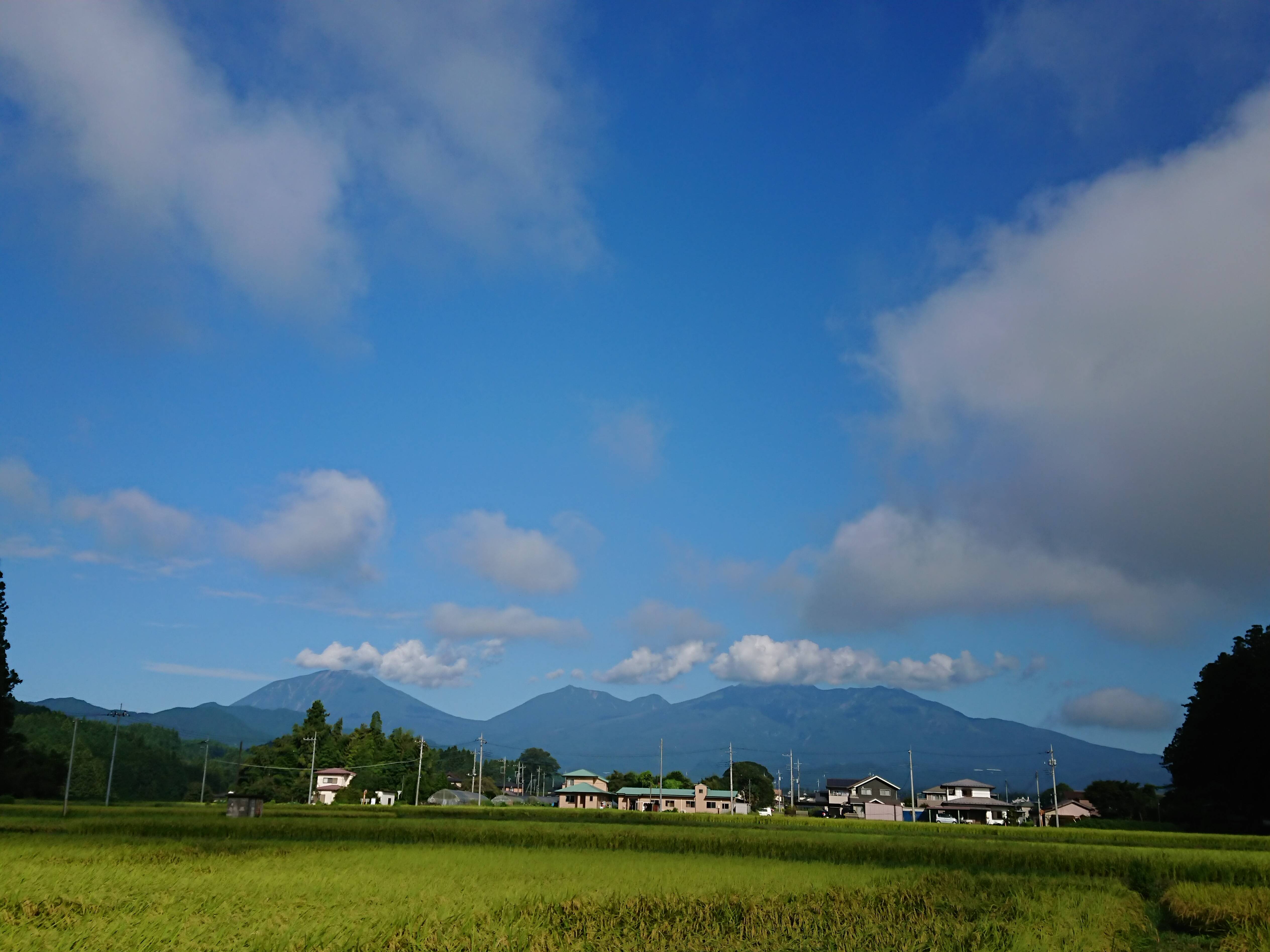 未来農園 みらいのうえん の紹介 栃木県 食べチョク 農家 漁師の産直ネット通販 旬の食材を生産者直送