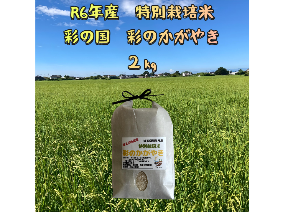 しっかり、あっさり、さわやかな甘さ R6年産 特別栽培米彩のかがやき 2