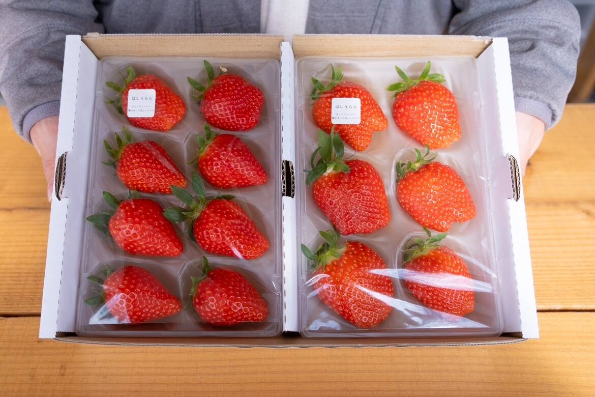 e550b67361f7724bfa1d2fe3bc65b0