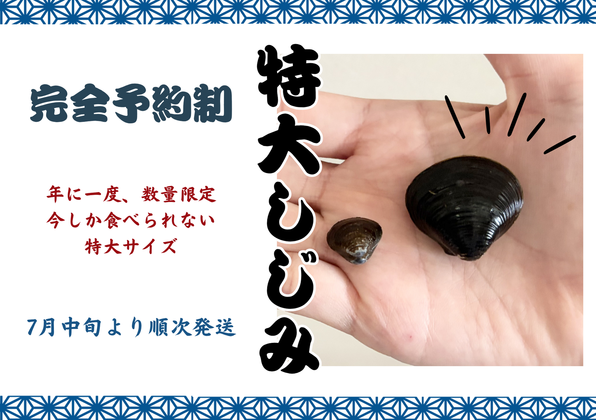 しじみページ 数量限定！年に一度の特別なしじみ貝 1kg 青森十三湖産：青森県産の