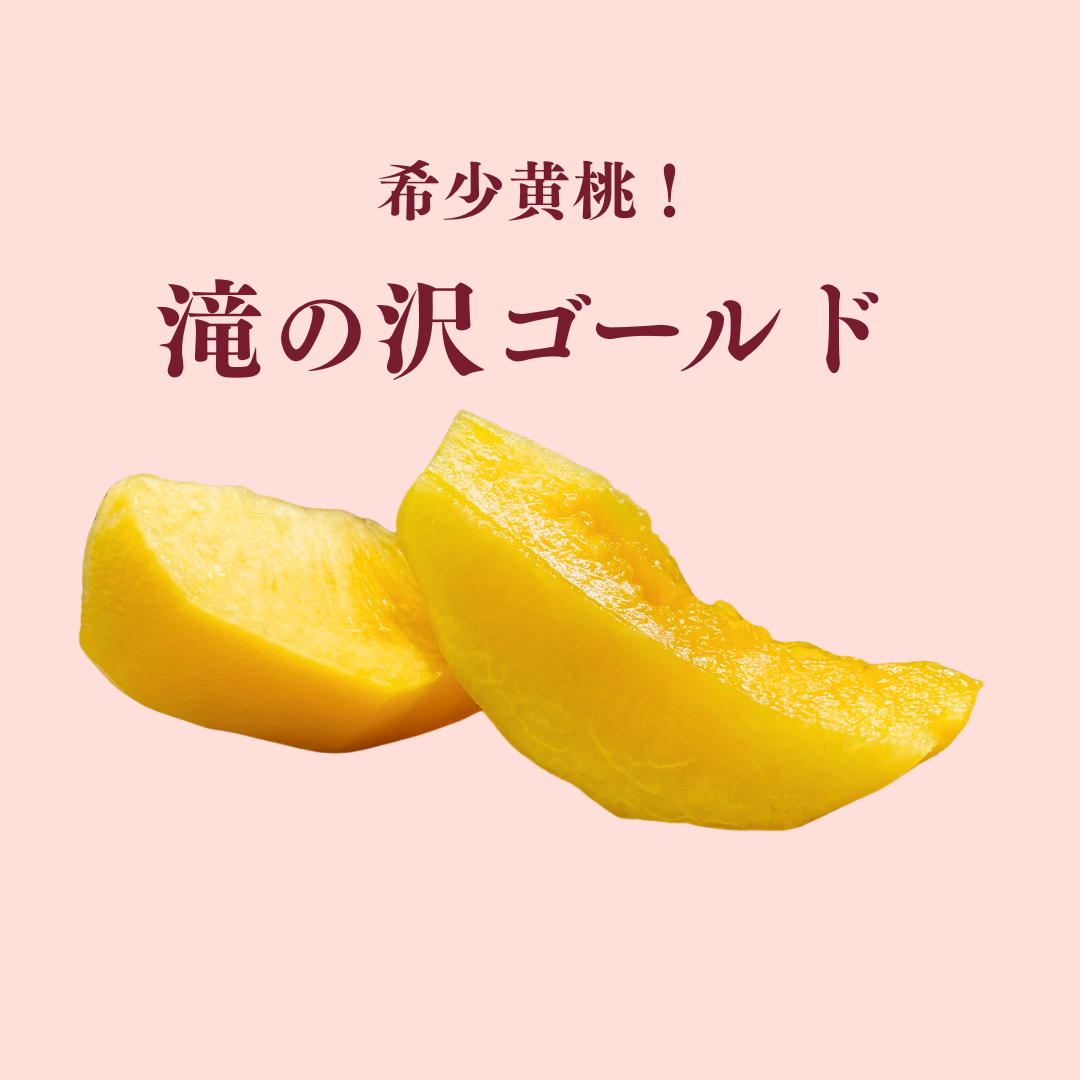 沖縄クール便‼️Tomo2016‼️ 滝の沢ゴールド　マンゴーピーチ　黄金桃 沖縄クール便‼️Tomo2016様専用‼️ 滝の沢ゴールド マンゴー