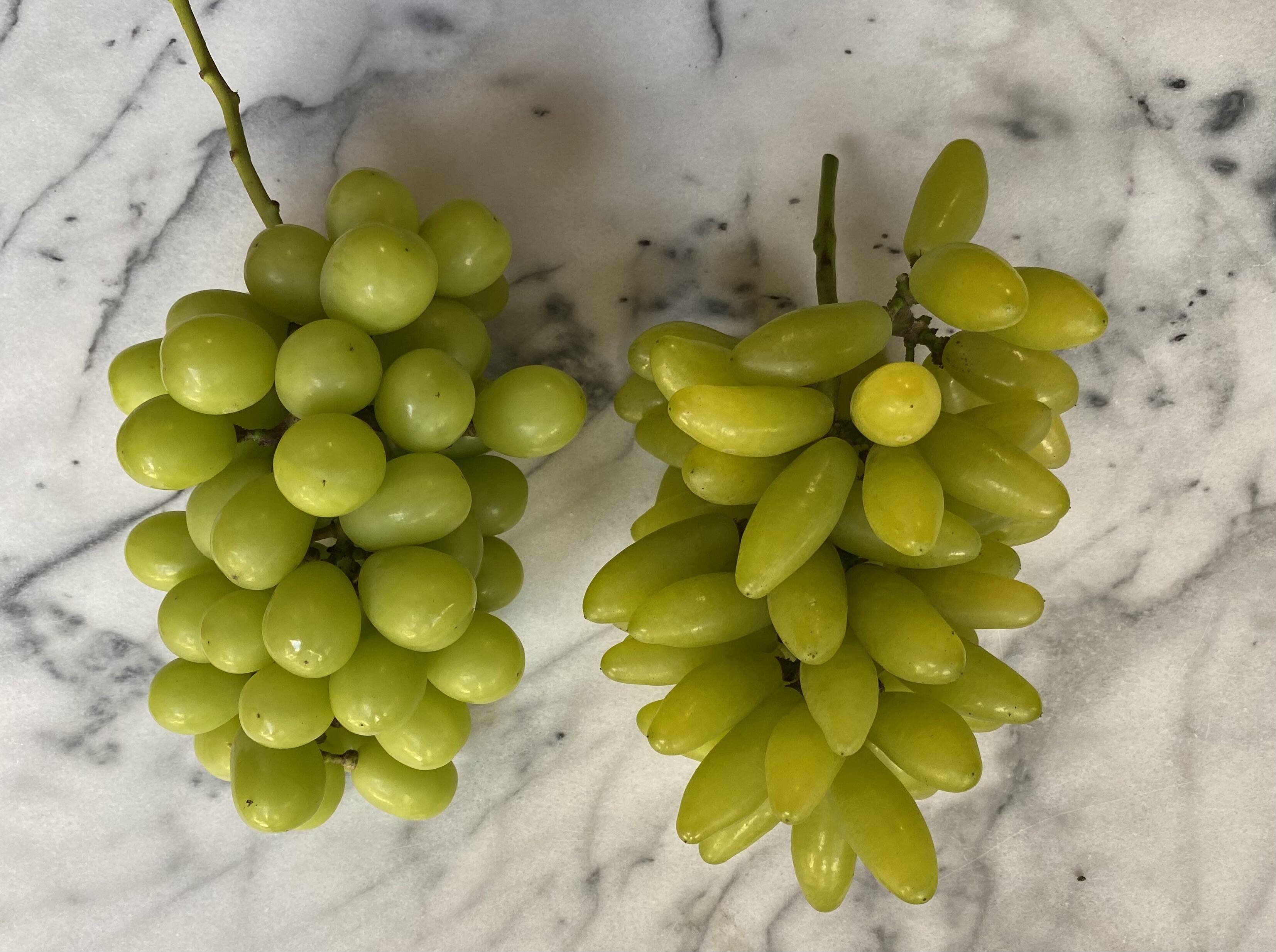 シャマスとゴールド2.0kg：岡山県産のシャインマスカット｜食べチョク