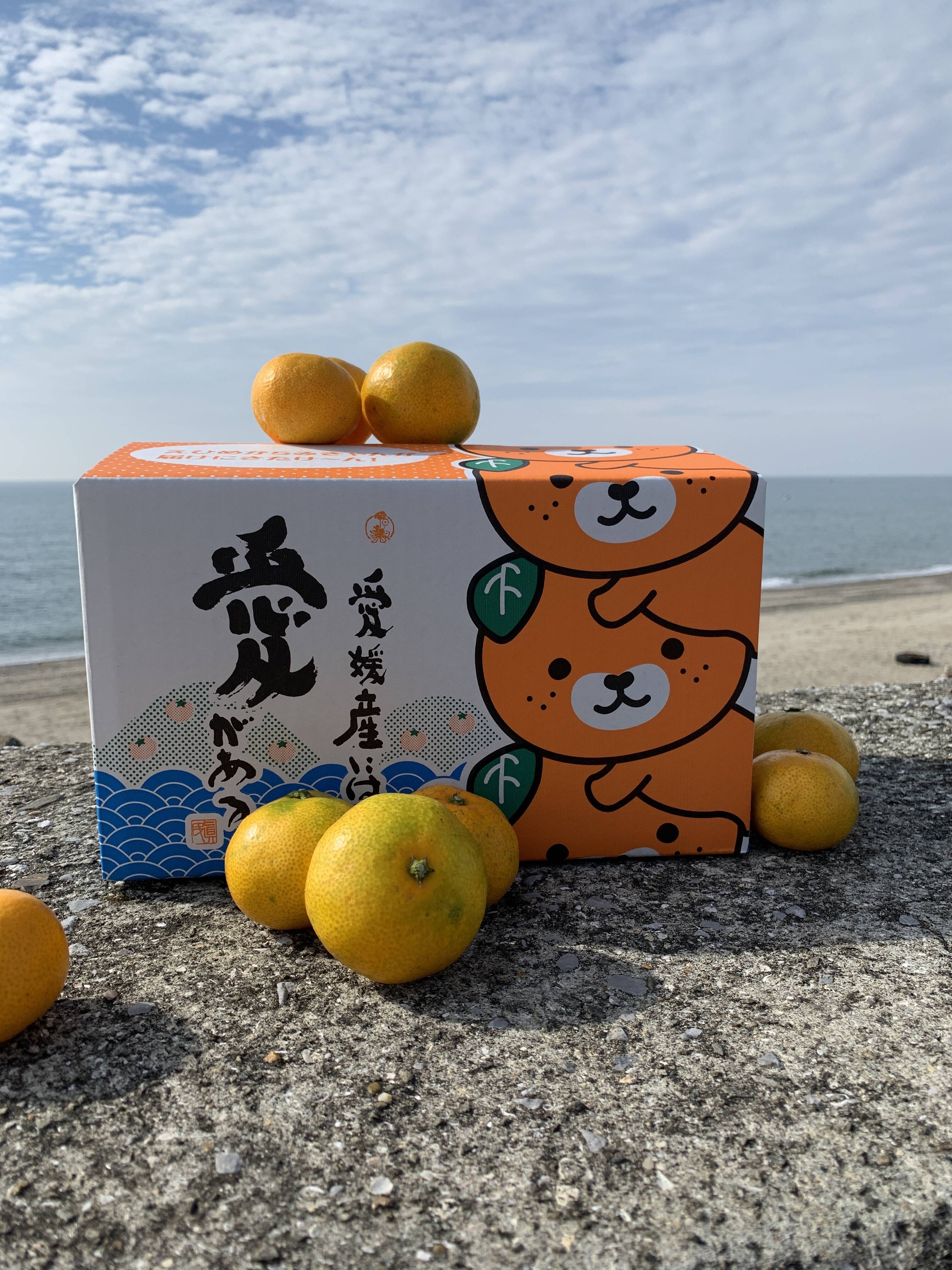 【2024年】高評価レビューアイテム特集 数量限定】えひめの”ゆるキャラ”みきゃん箱”でお届け 愛媛県産 果物