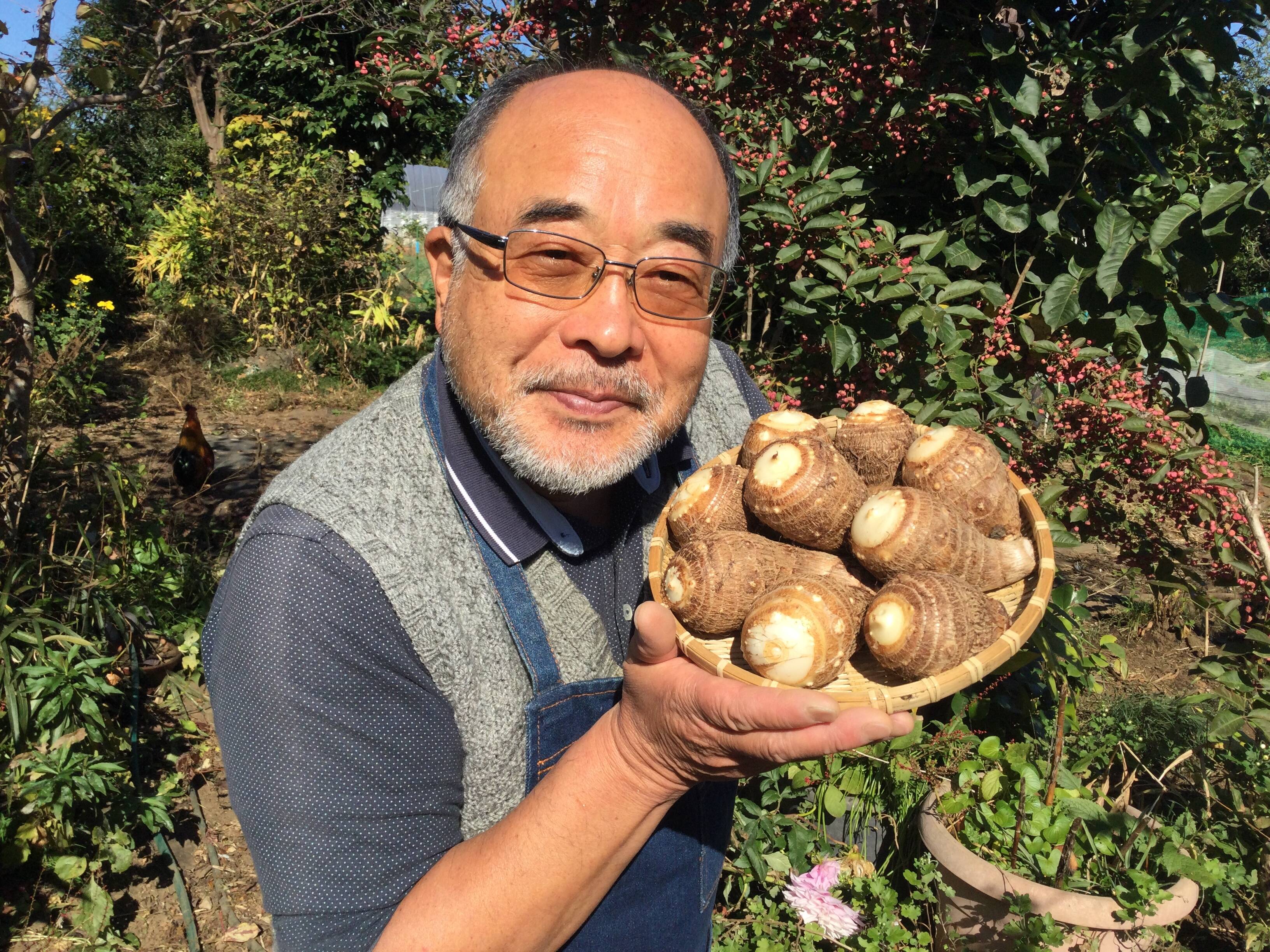 ねっとり・やわらか] 里芋 1.5キロ 栽培期間中農薬不使用 日本一の野菜