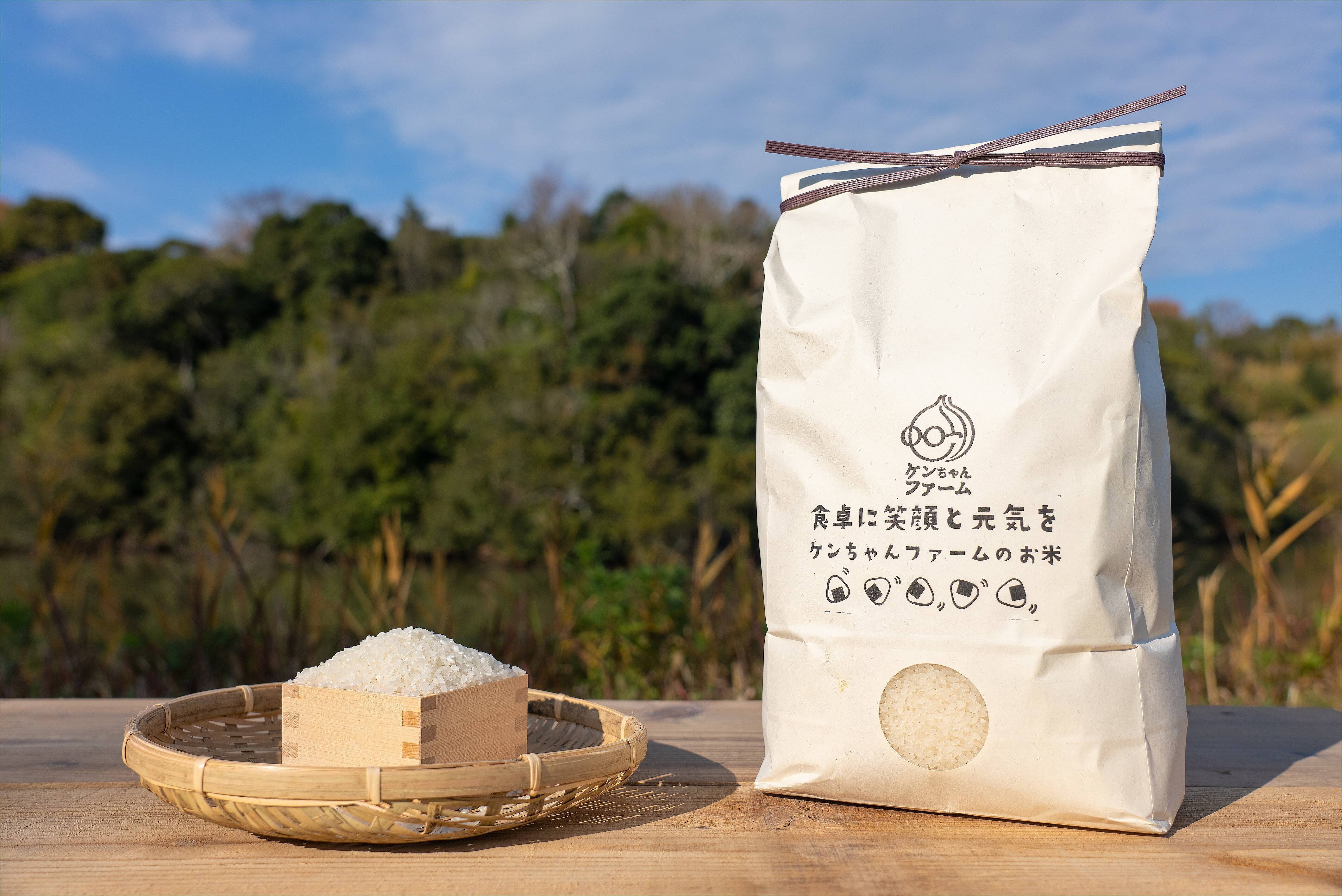 定期便6ヶ月/淡路島コシヒカリ5kg】お米 令和5年産 コシヒカリの