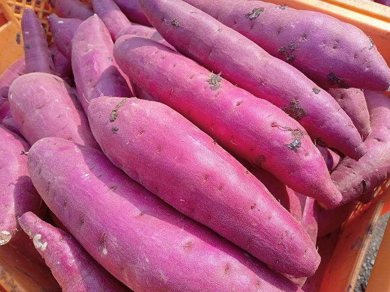 e605e2894ee9d63000cb0f677cf43d