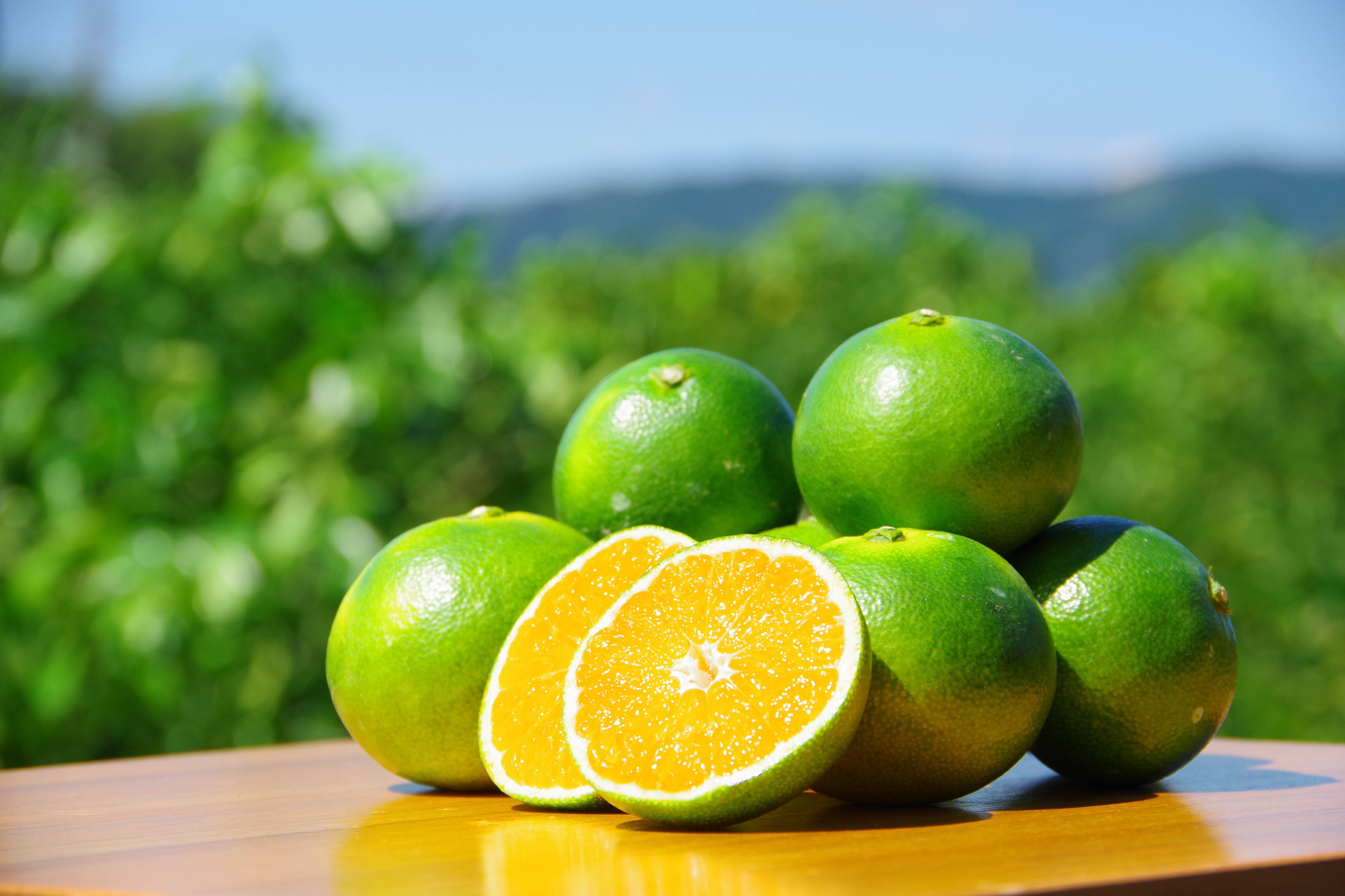 e622fe0670c2f976af55e92b9bd8f9