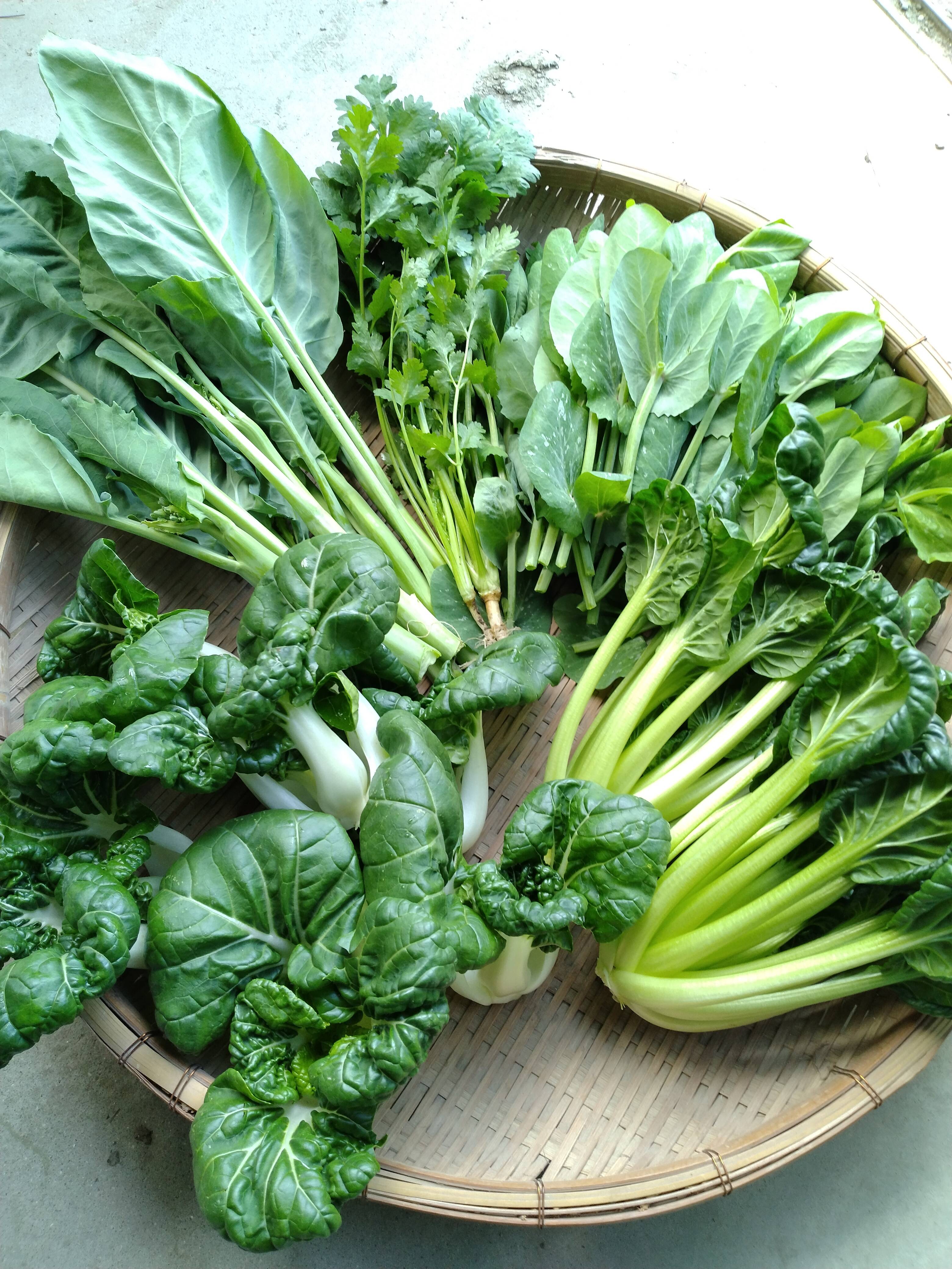 アジア野菜おまかせセット（4～6種類）珍しい中国野菜詰め合わせ