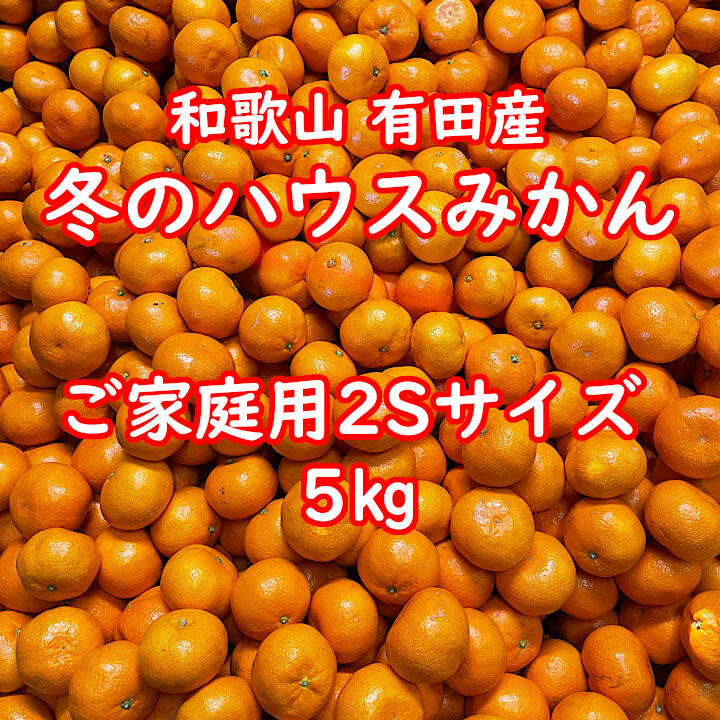 物品 山口農園 ハウスみかん 5kg Kg Scps Edu Hk