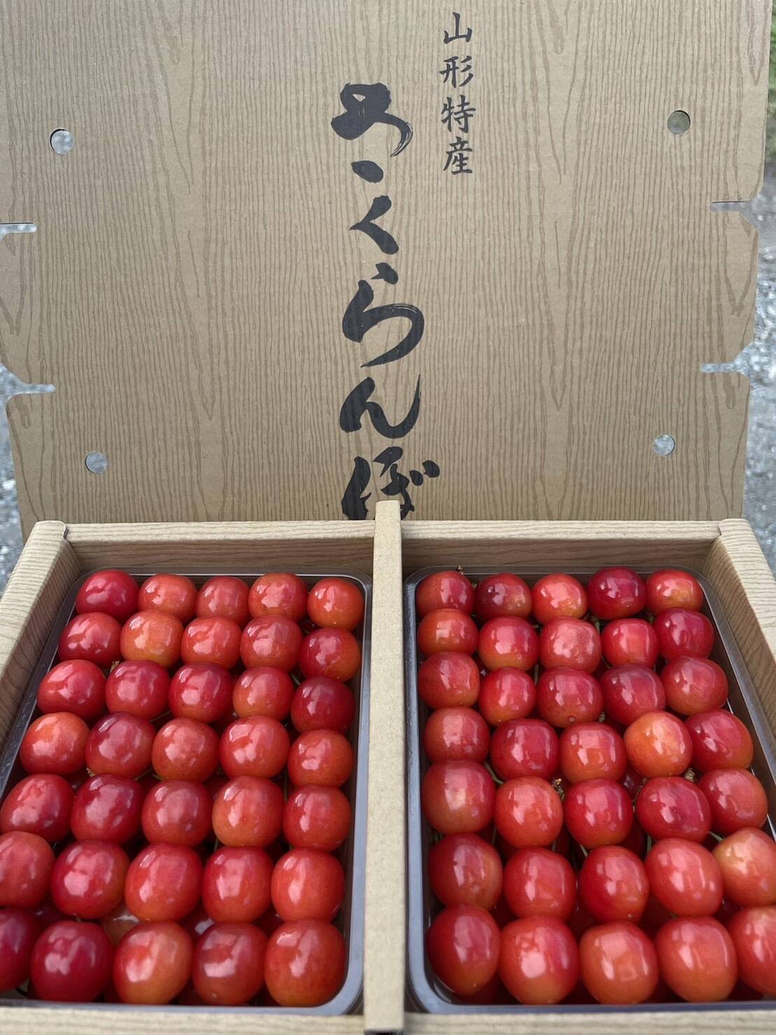 特別価格！！！)山形県産 さくらんぼ 佐藤錦 贈答用 1kg：山形