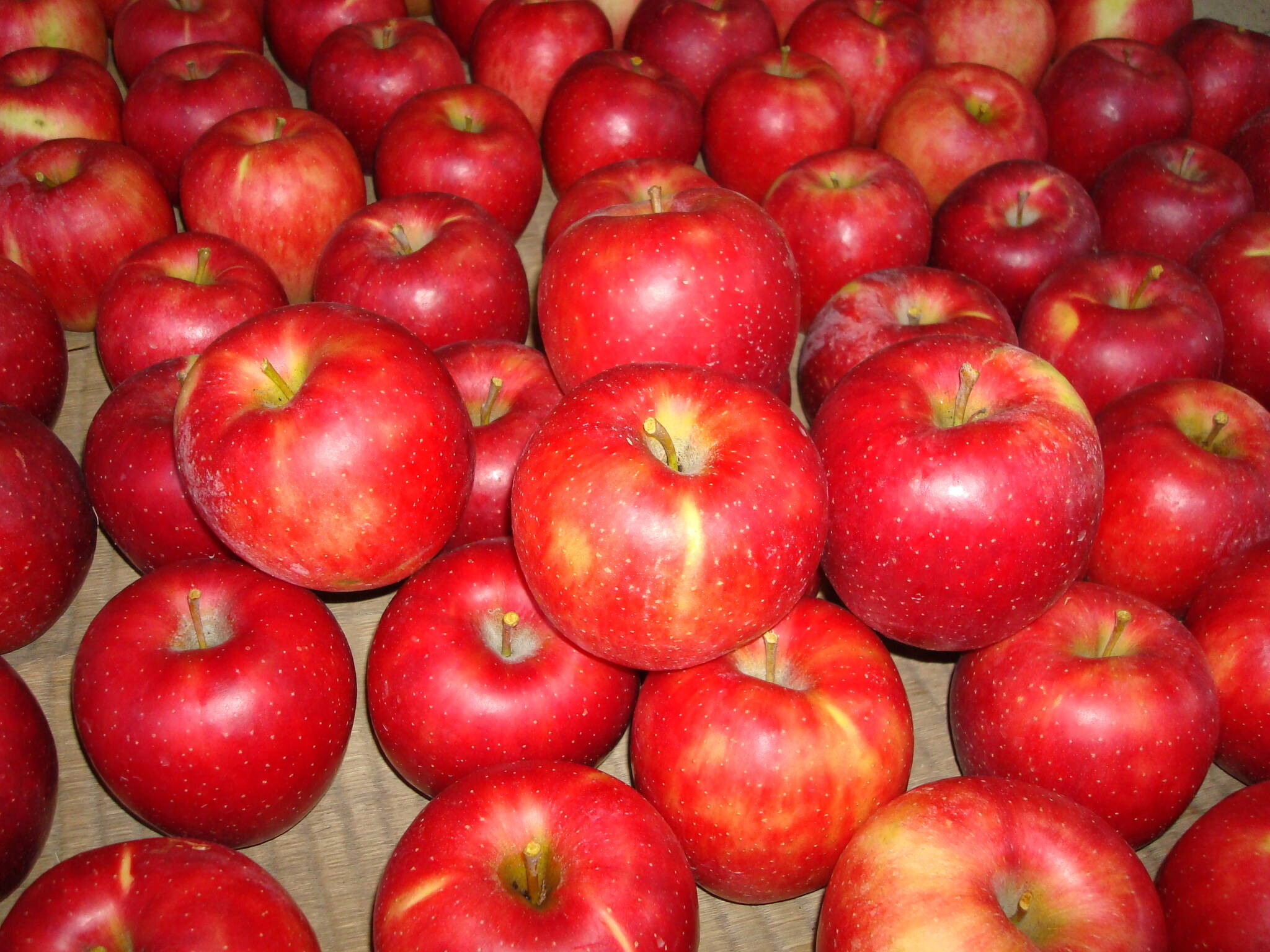 e69e3fd684d010dc55b45a4fb60f7c