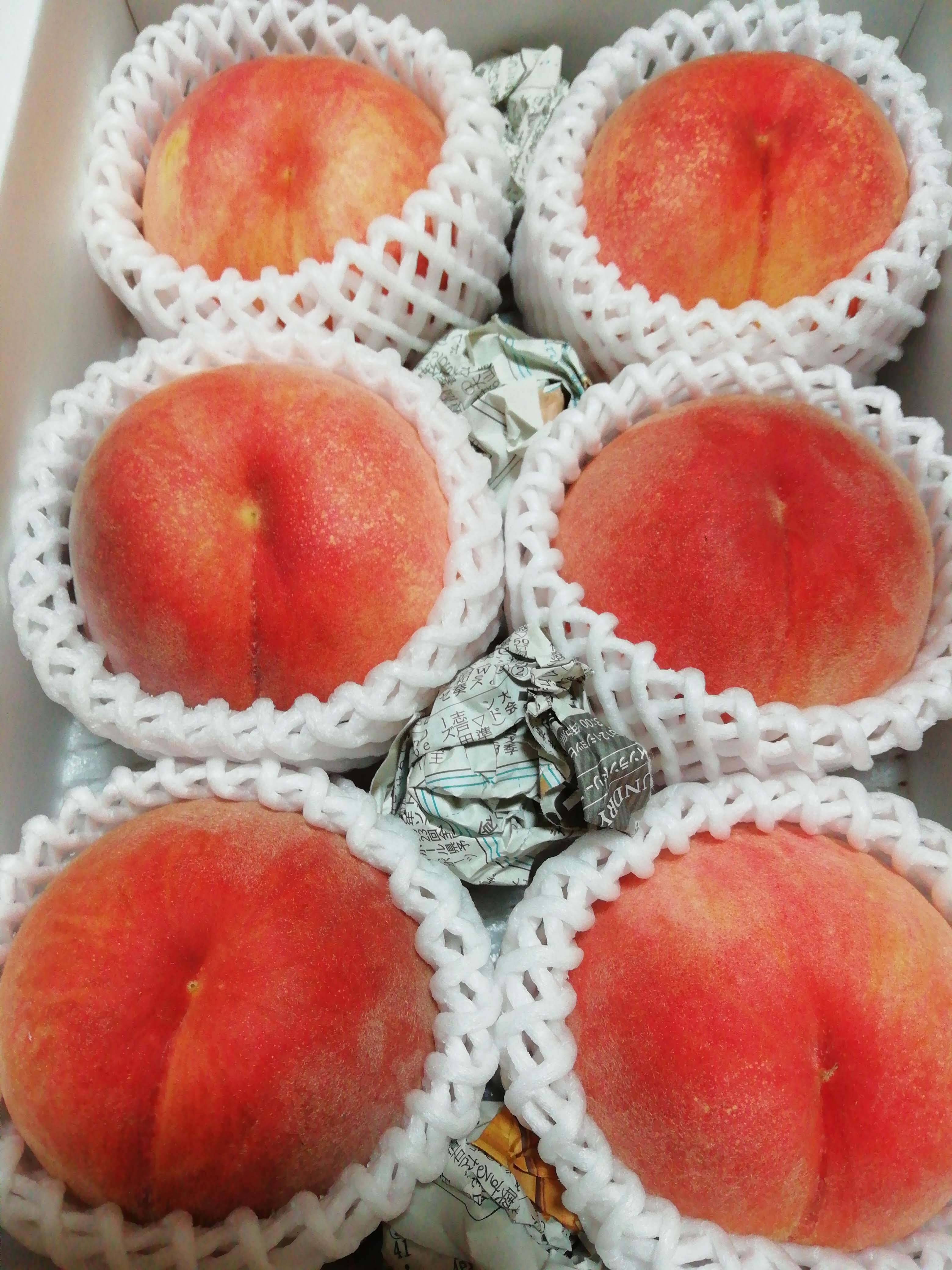 川中島水蜜桃 9.5kgクール便発送 ☆数量限定☆川中島白桃ご家庭用2kg箱【クール便】：山形県産の白桃