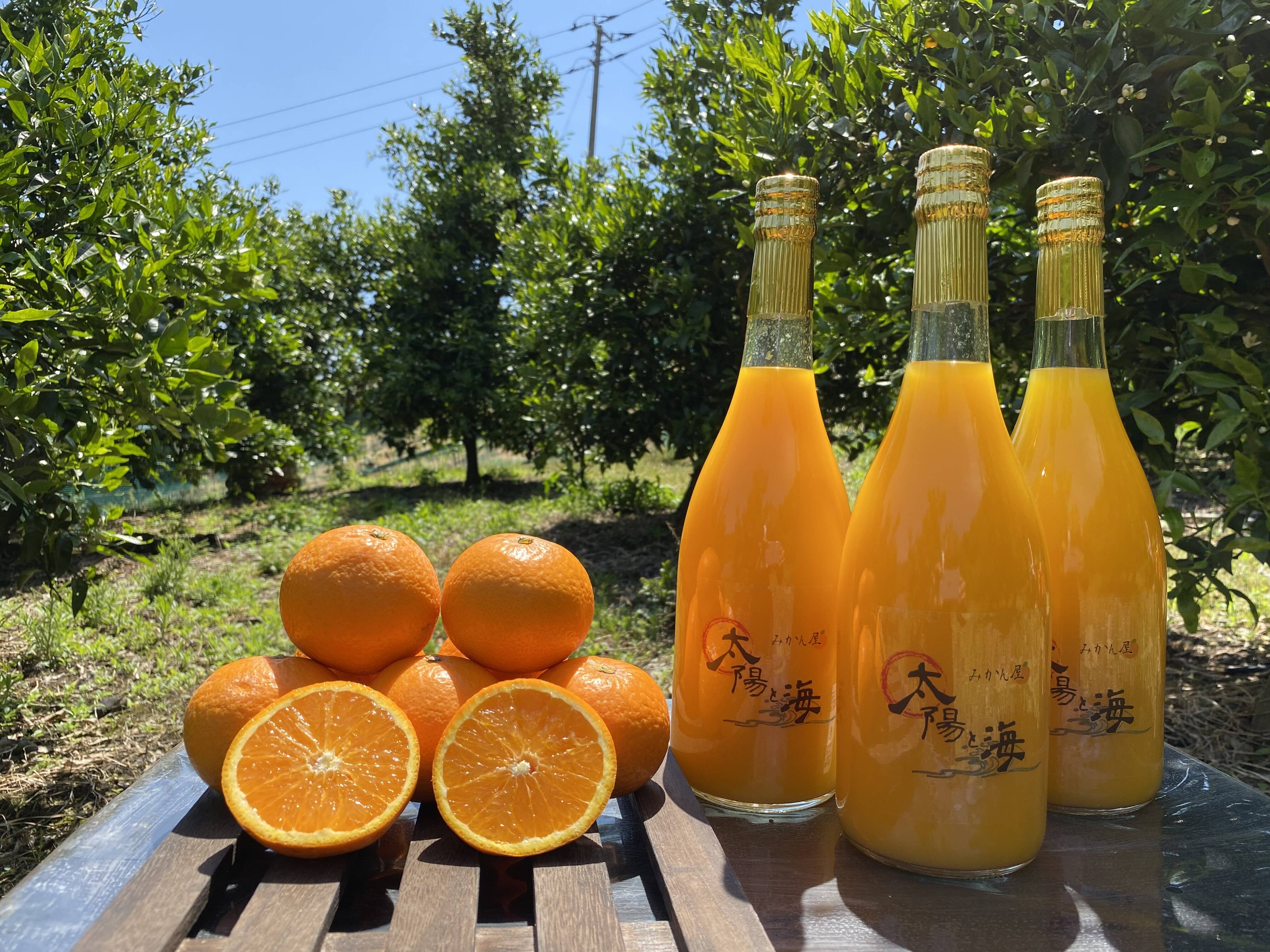 愛媛のみかんジュース⭐︎飲み比べ3本セット：愛媛県産の加工品｜食べ