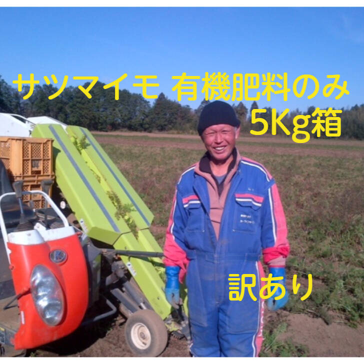 さつまいも 紅はるか 5Kg箱 訳あり 有機栽培27年以上の実績 規格外芋 紅はるか。 にんじんJASで人気の【 特別栽培】さつま芋 有機20 年以上の加瀬農園（10月15～20日以降順次発送です）：千葉県産のべにはるか｜食べチョク｜産地直送(産直)お取り寄せ通販 - 農家・漁師から ...