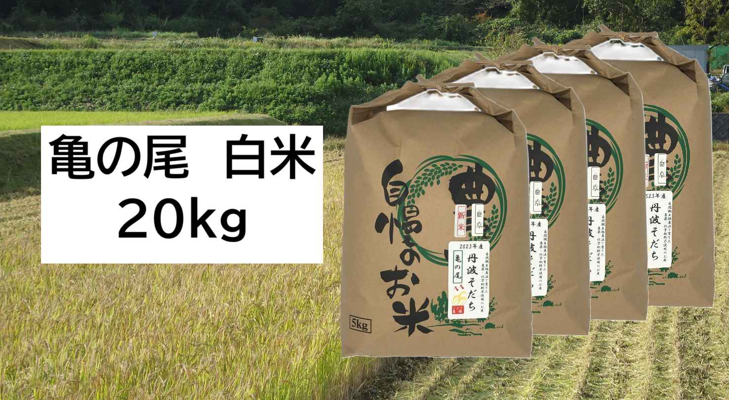 玄米25kg こだわりのお米　新米　限定出品 新米・2026年産】自然栽培のお米『亀の尾』玄米20kg：兵庫県産のお米